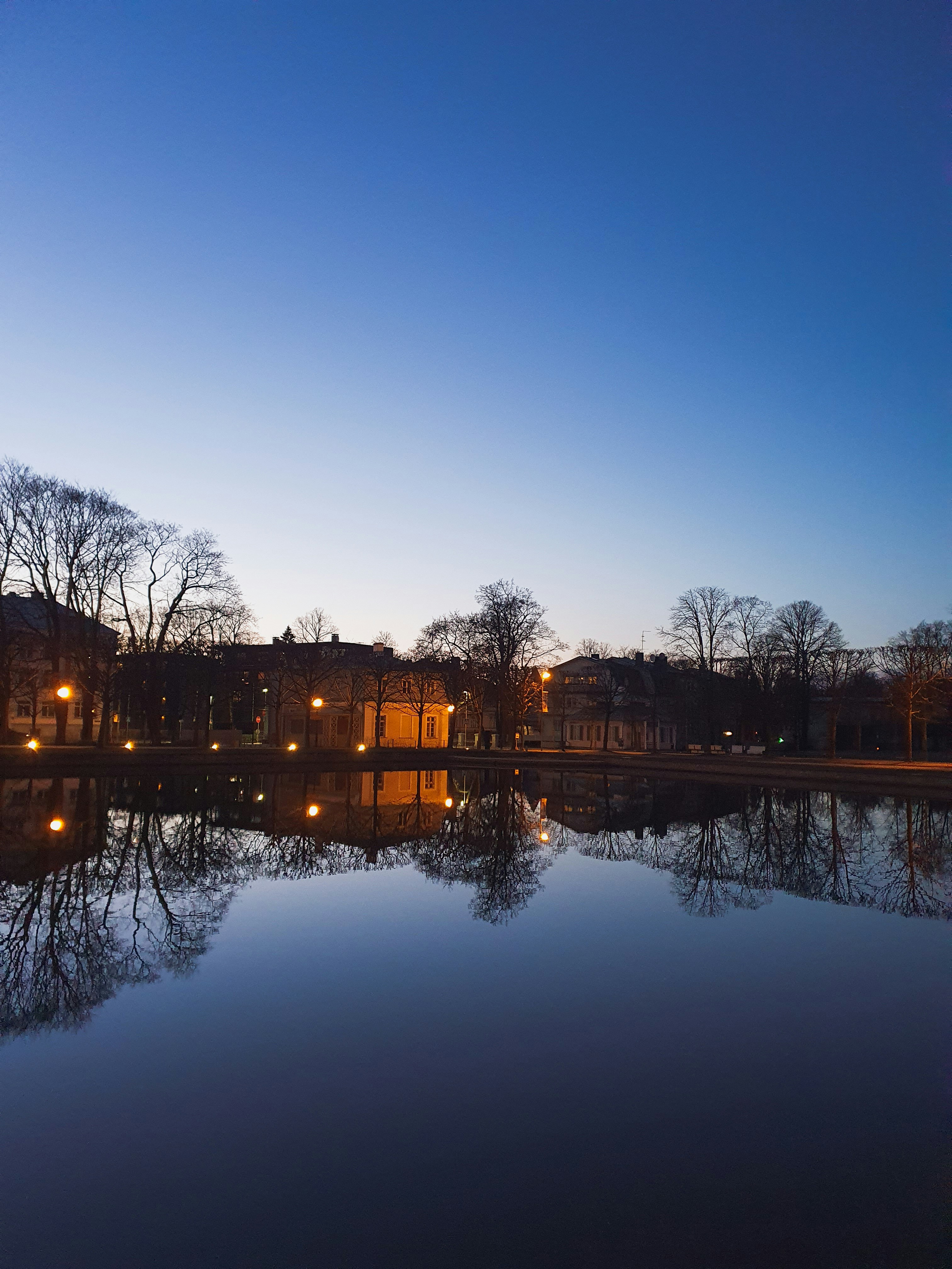 Photo by silverringvee