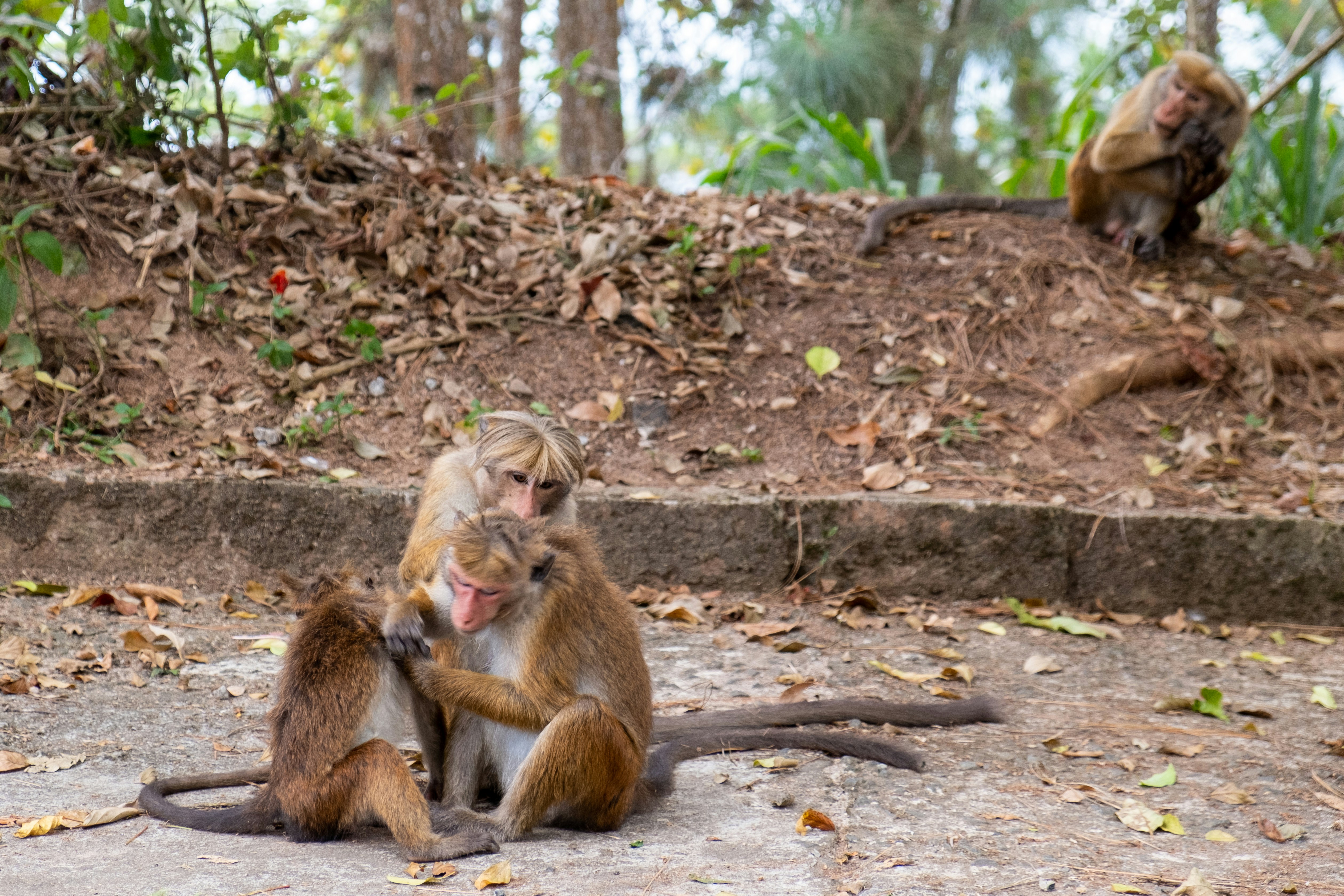 Photo by silverringvee