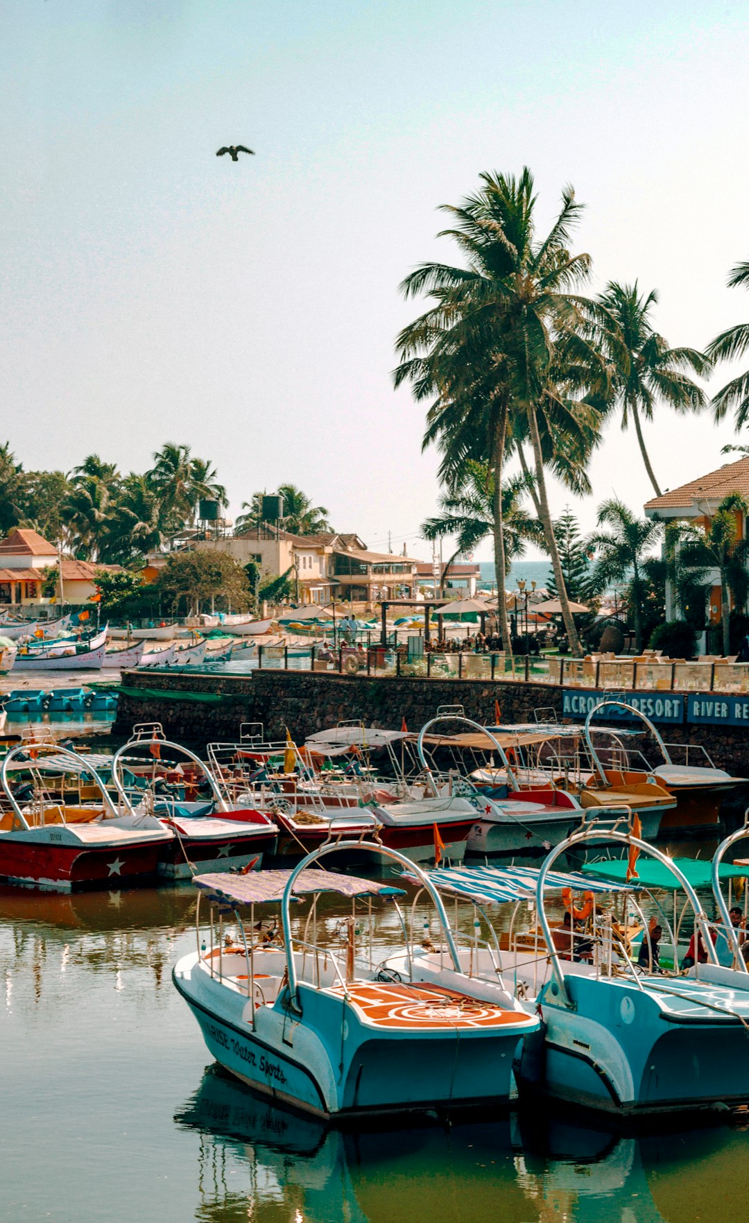 boats on dock near buildings during daytime