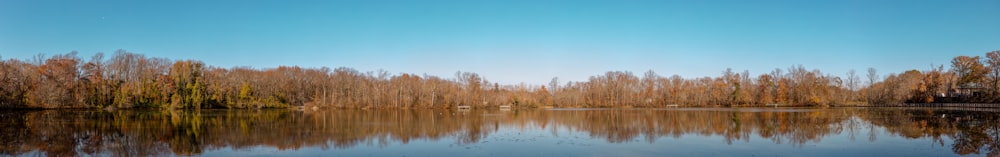 brown grass on lake during daytime