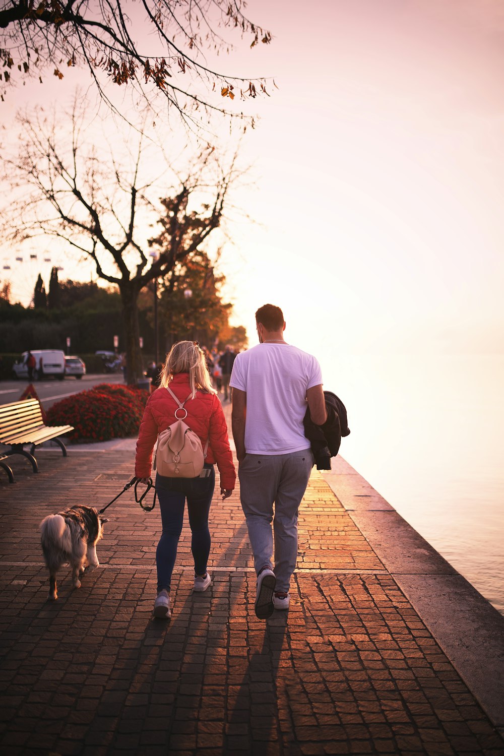 Mann und Frau, die tagsüber mit Hund auf Holzsteg spazieren gehen