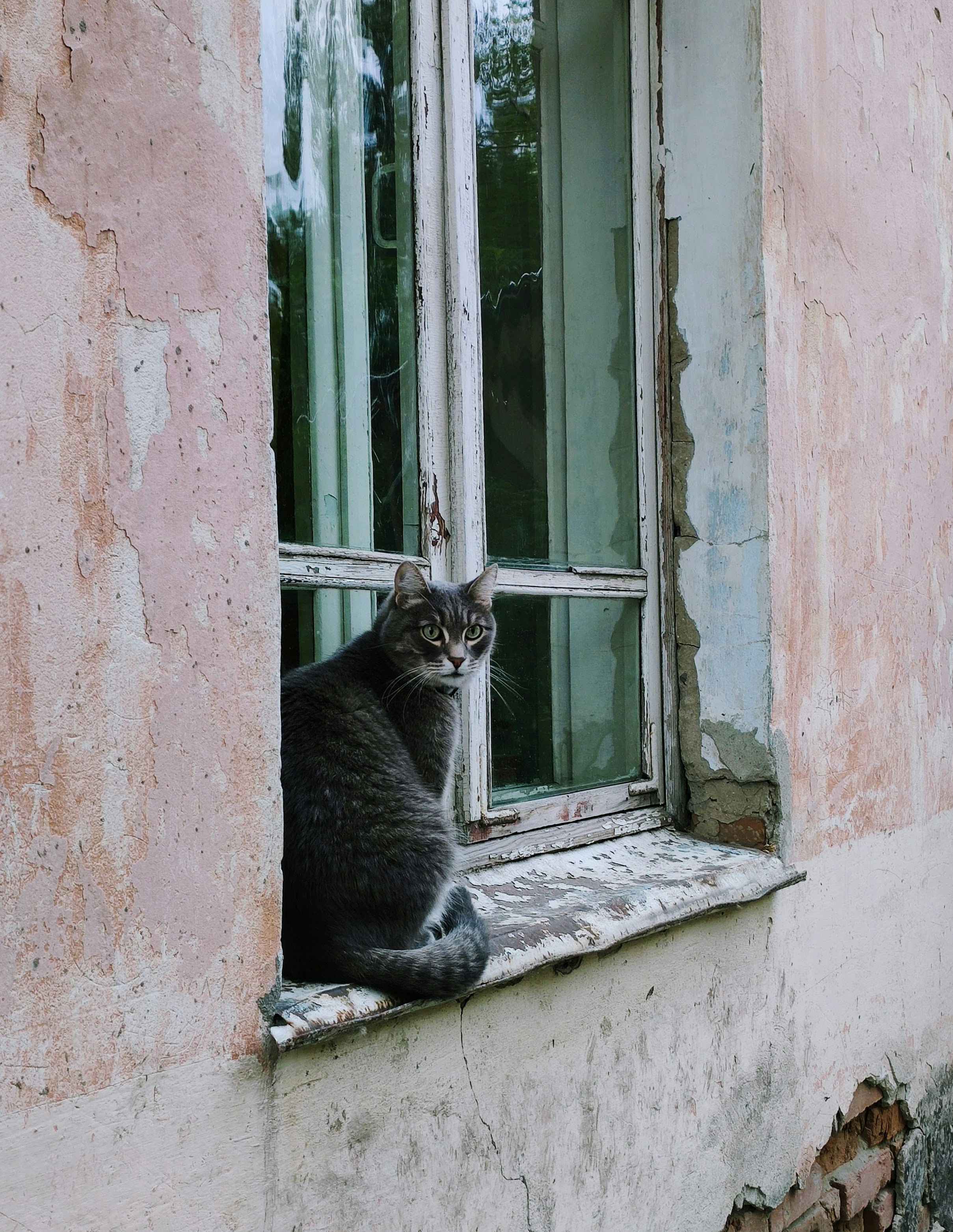 Photo by 28081995_love