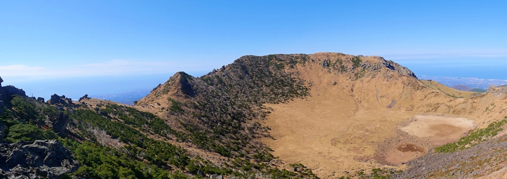 árboles verdes en arena marrón bajo el cielo azul durante el día