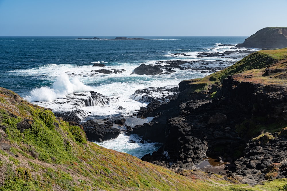 Champ d’herbe verte près de la mer pendant la journée