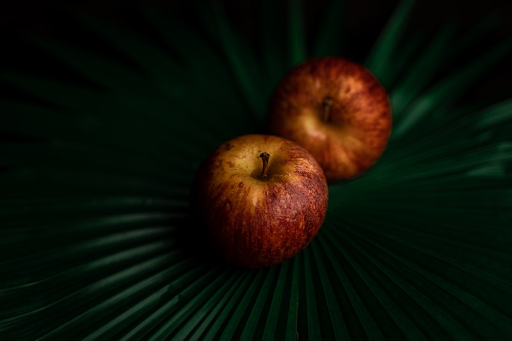 red apple fruit on green textile