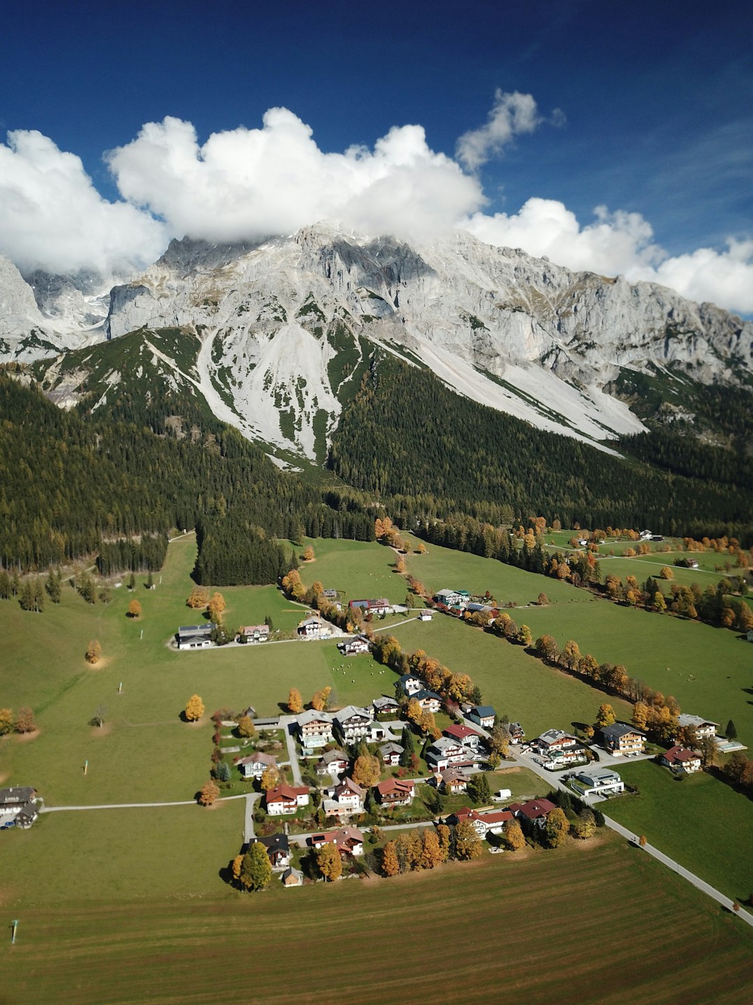 houses near trees and mountains during daytime