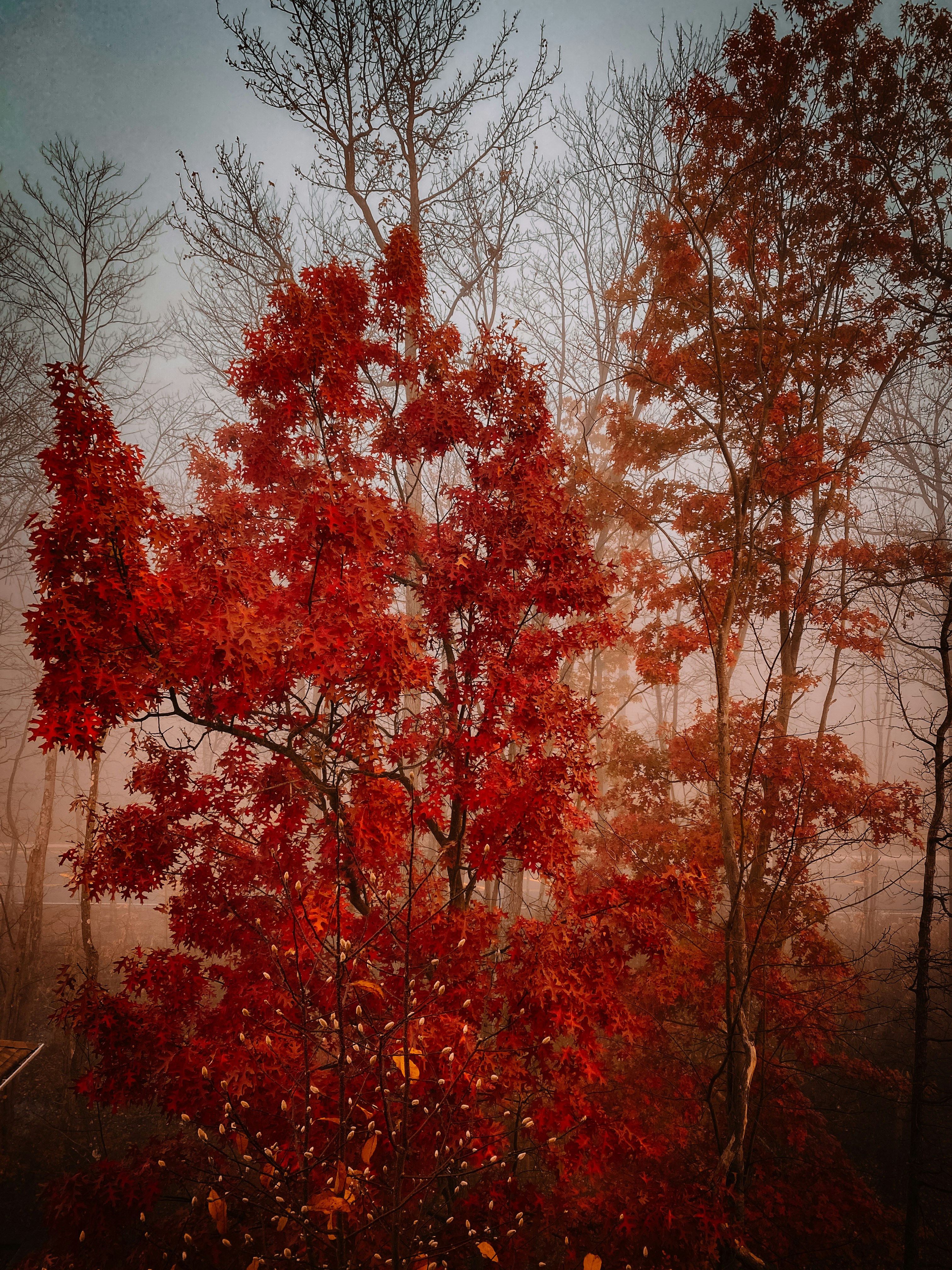 Photo by ymoran