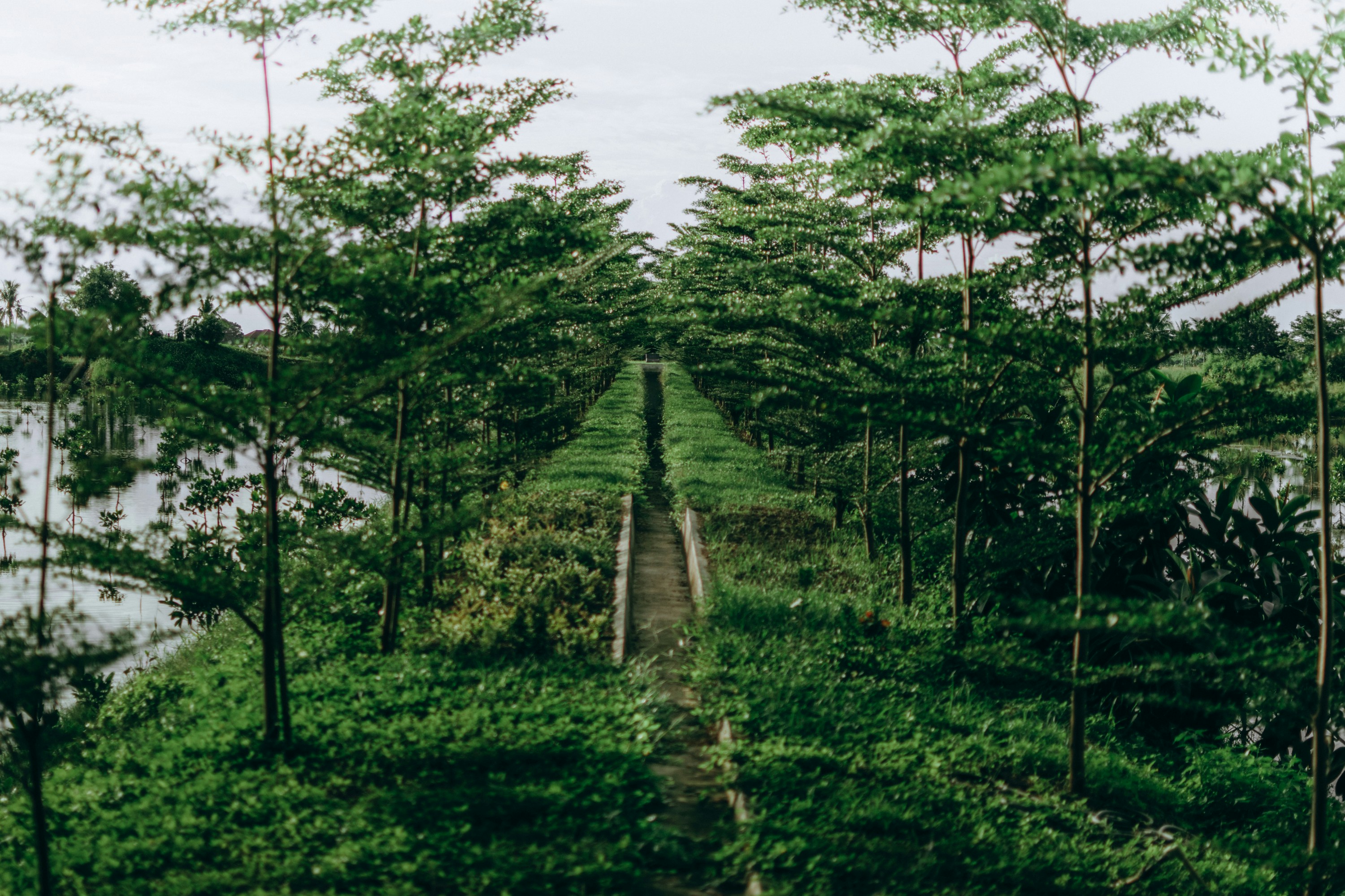 Photo by sbellocillo