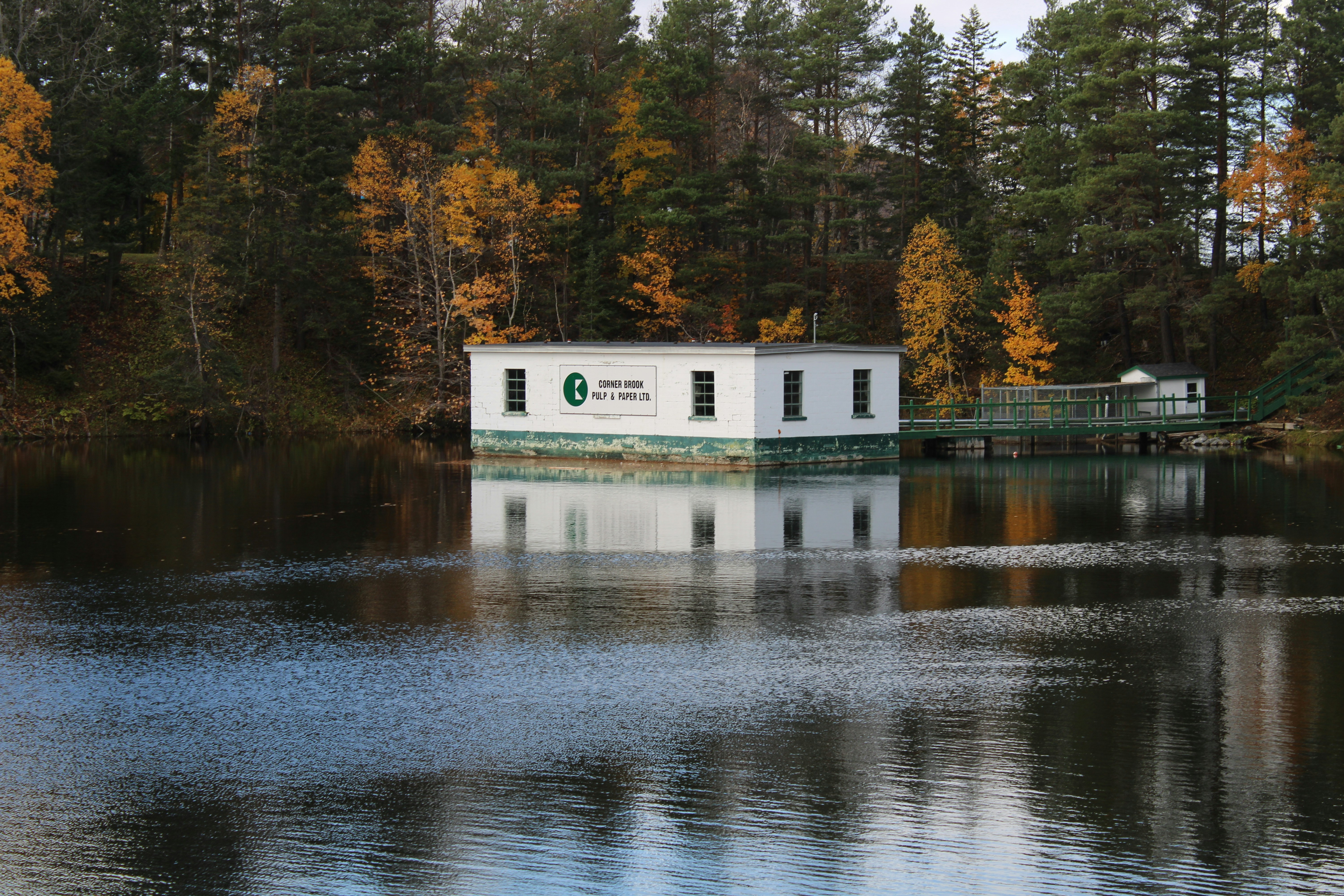 昼間は木々に囲まれた湖のほとりにある白と青の家の写真 Unsplashで見つけるグレーの無料写真