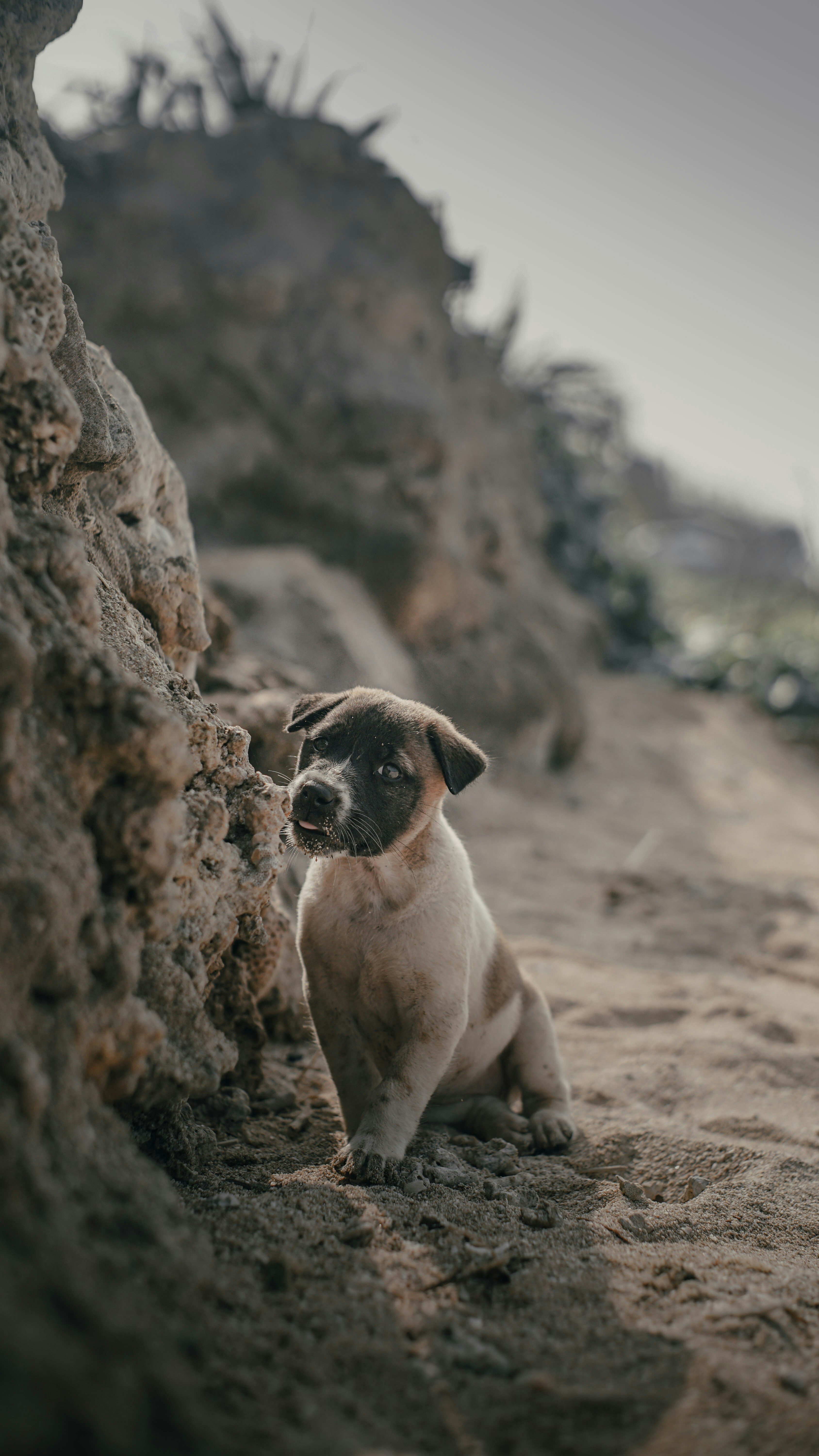 Photo by venwardoo