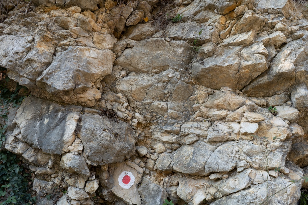 white and red round plastic on gray rock