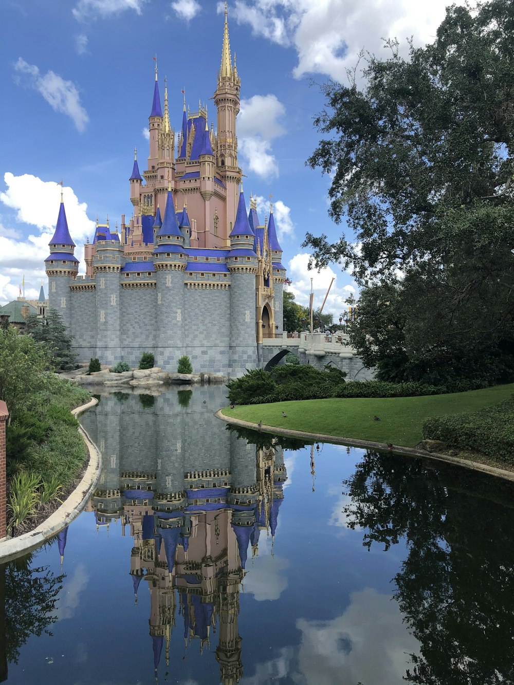 brown and blue castle near green trees and lake during daytime