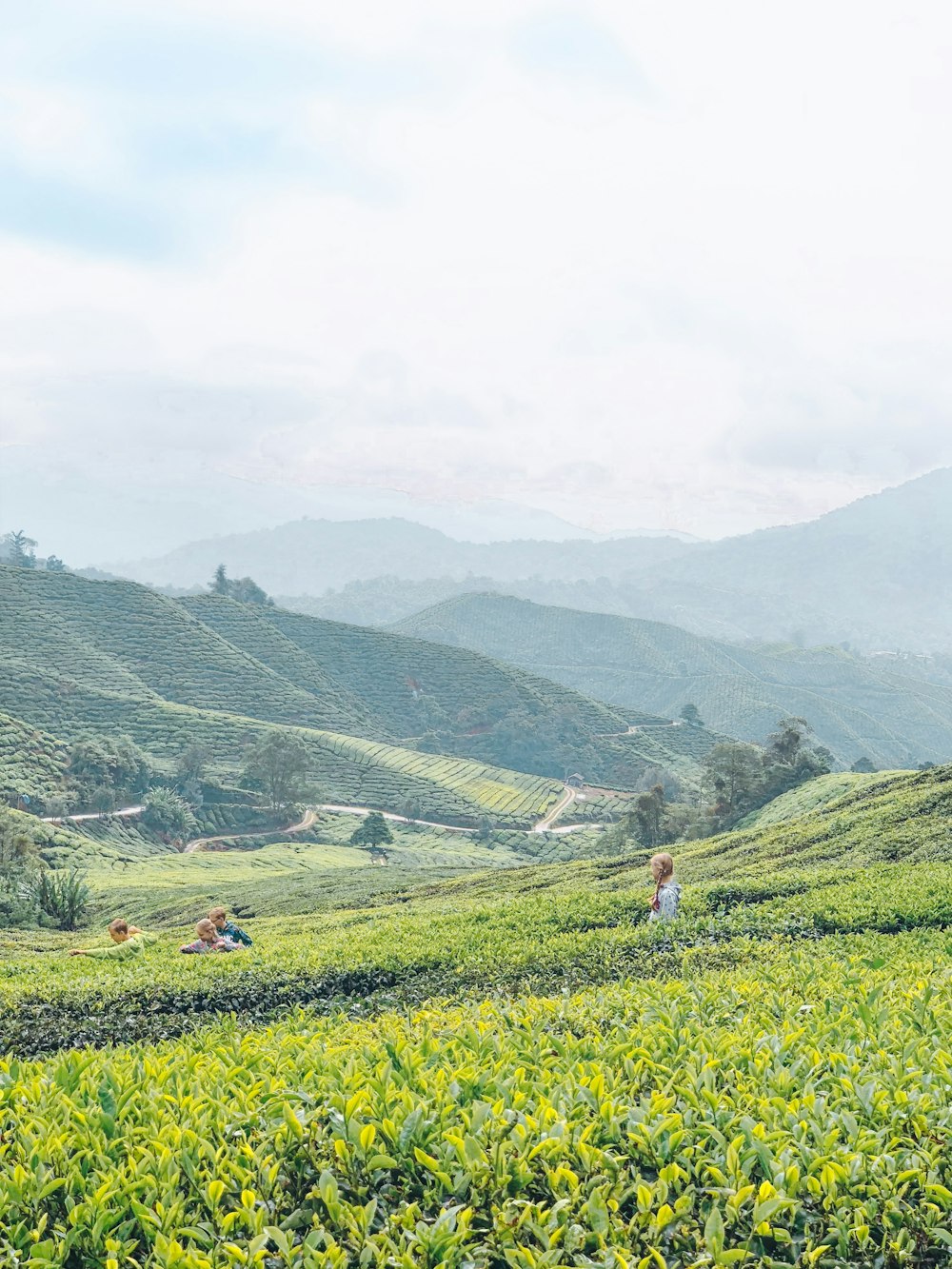 green grass field near mountain during daytime