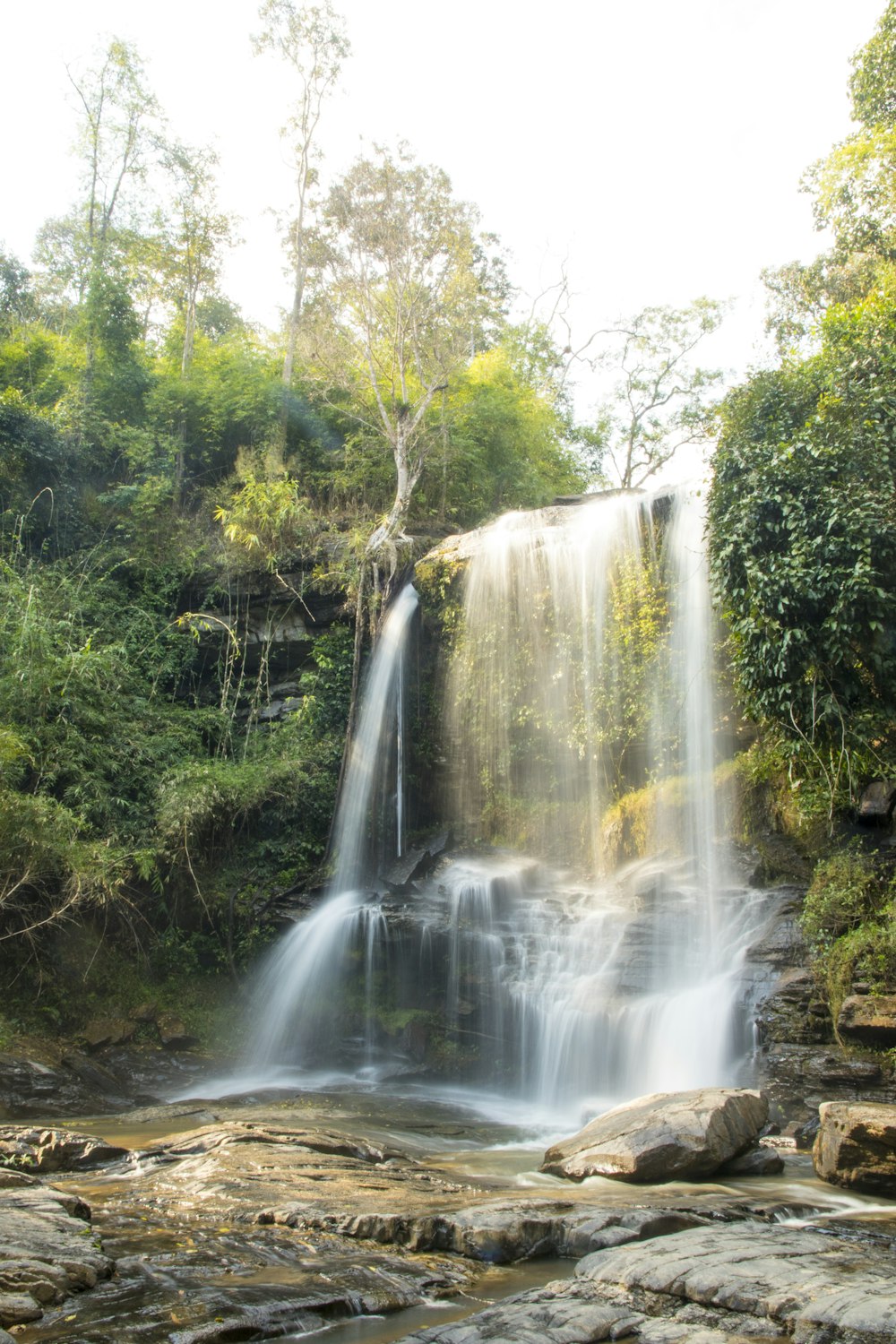 waterfalls in forest during daytime