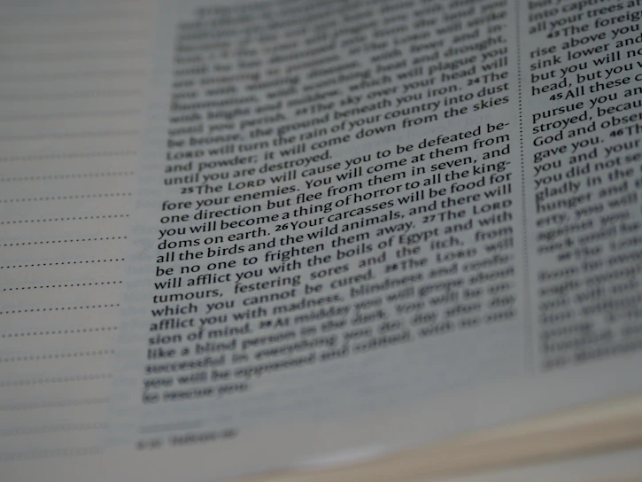 Close-up of a multilingual document showing perfectly aligned text blocks in different languages.