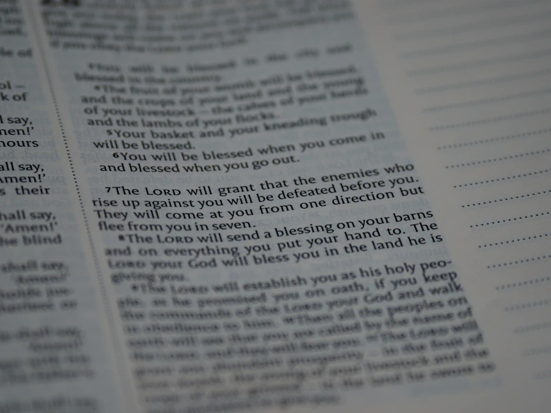 An open Bible for reading and reflection