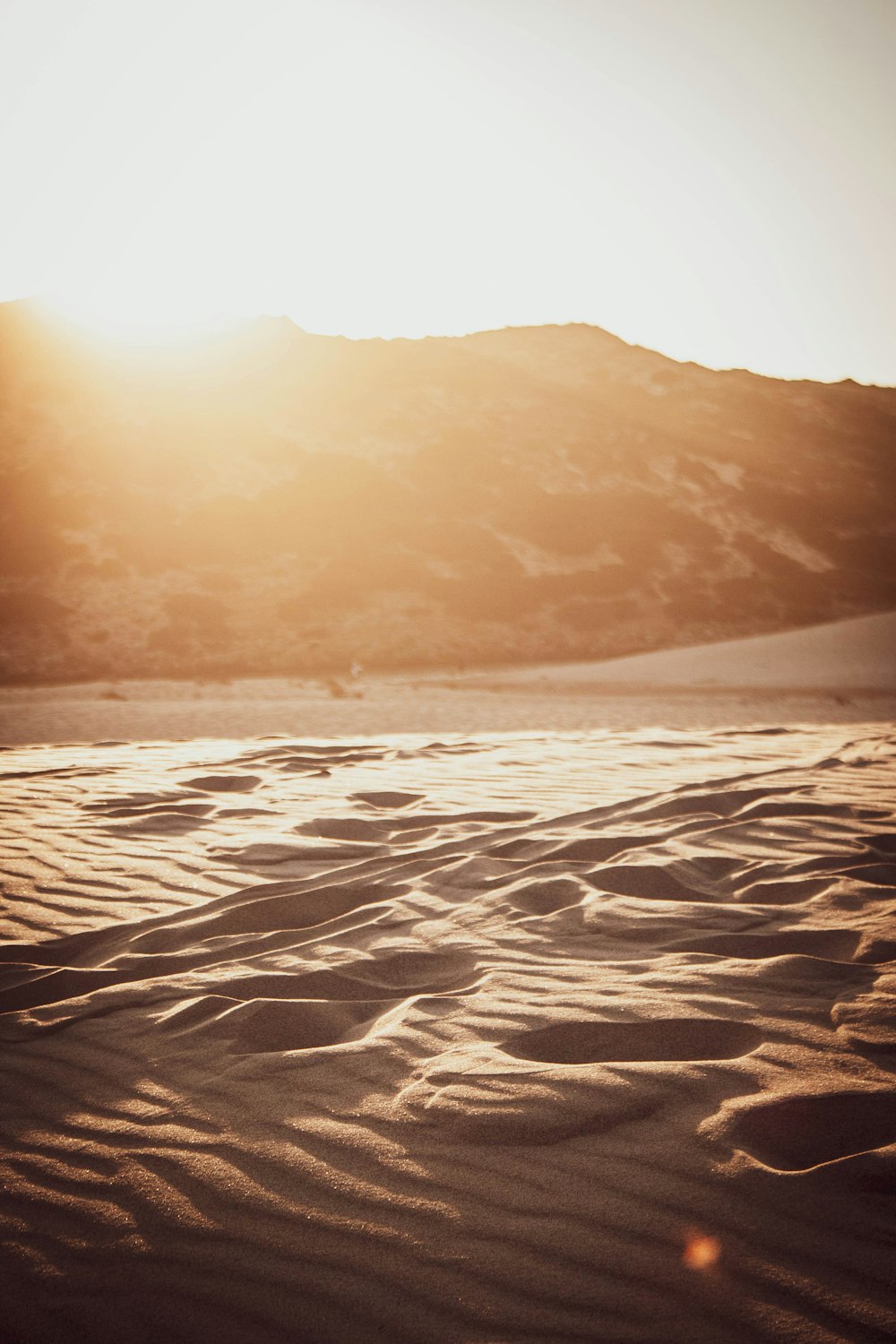 white sand near body of water during sunset