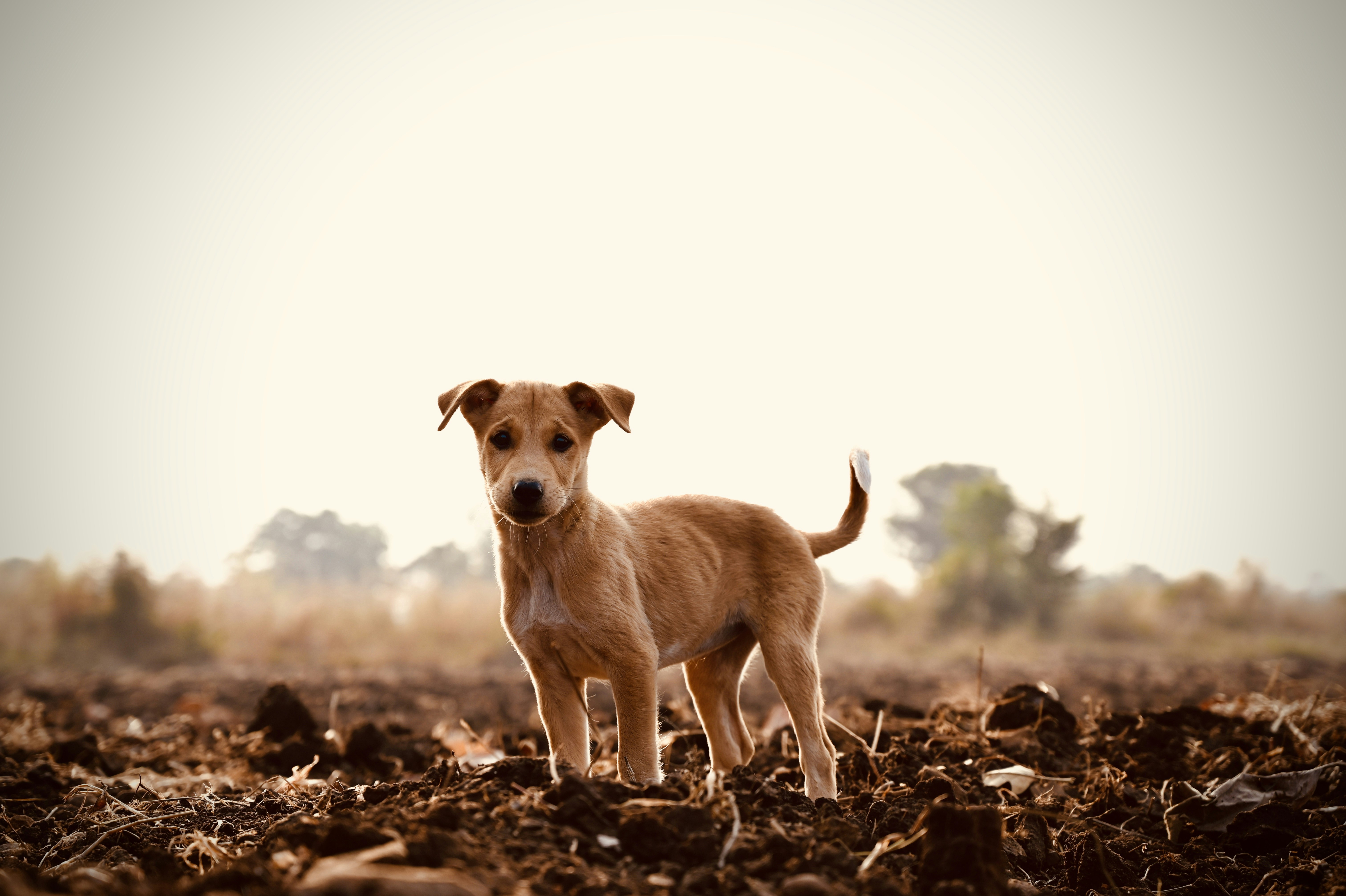 Photo by rrajputphotography