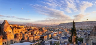 birds flying over city during daytime