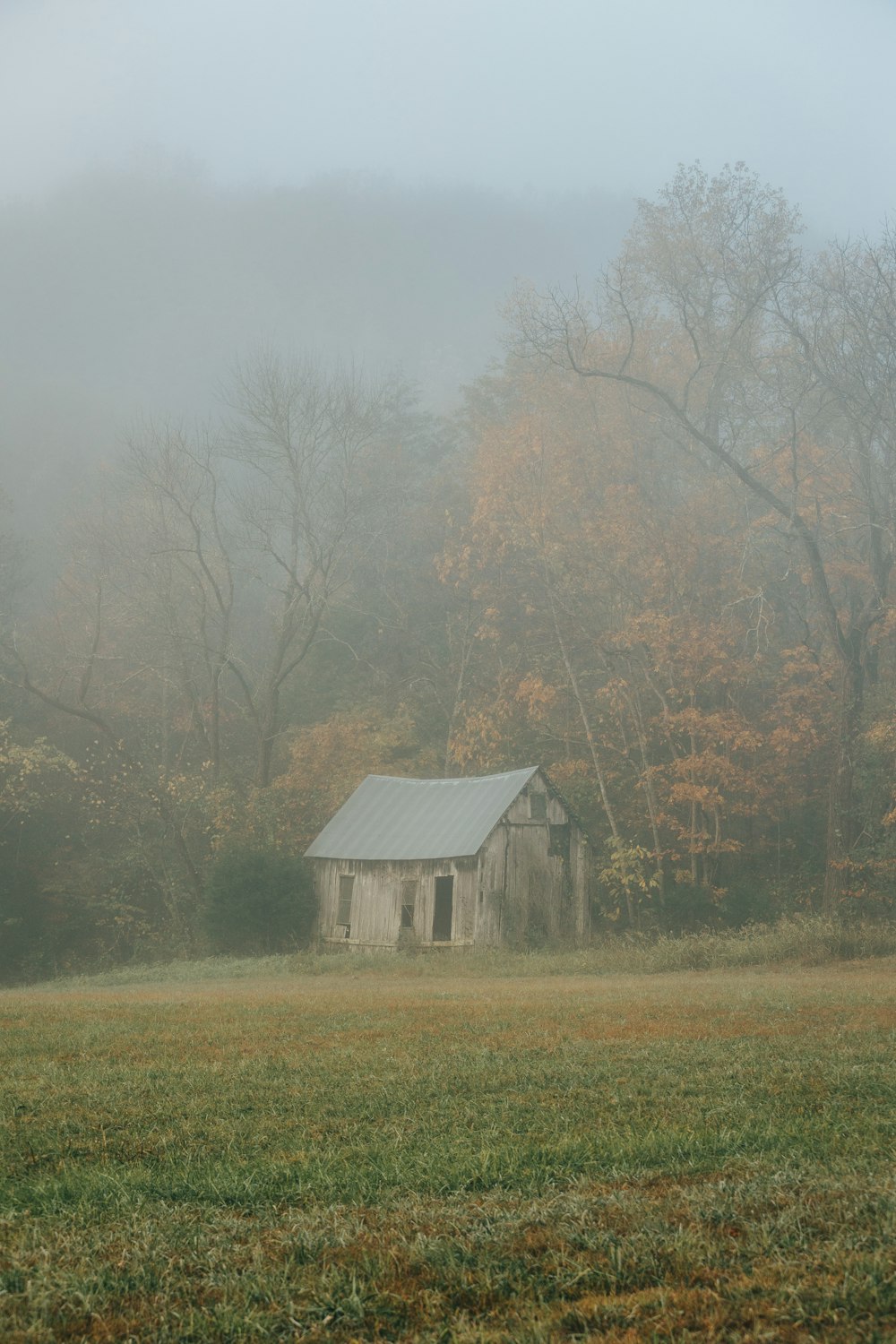 brown wooden house near trees during daytime