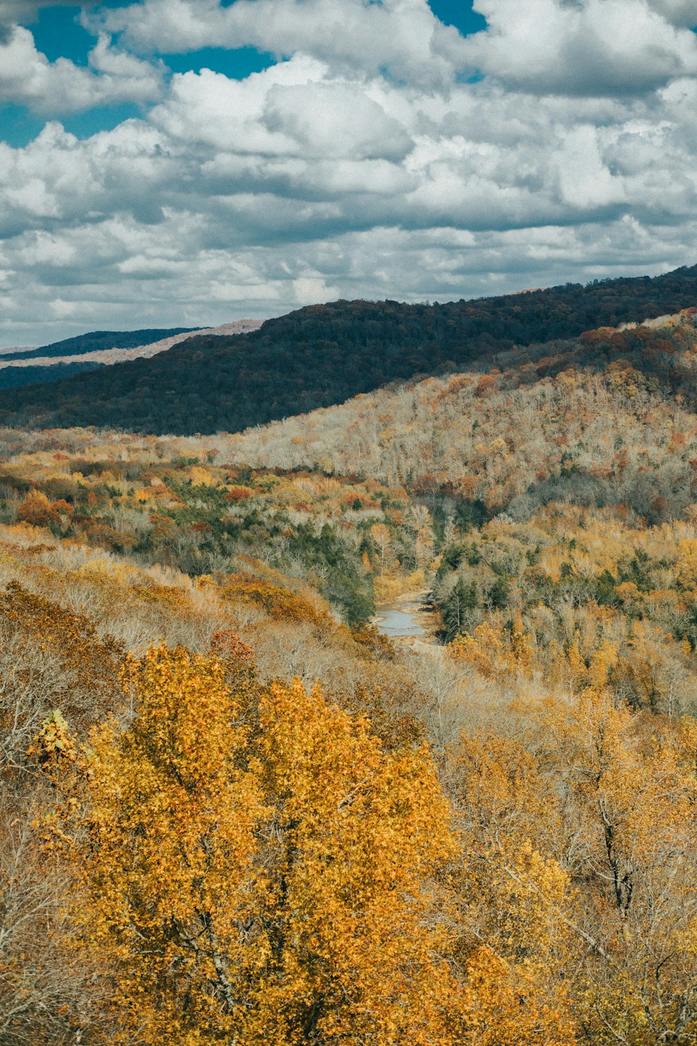 brown and green trees near brown mountain under white clouds during daytime