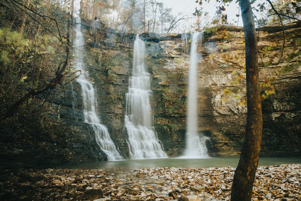 water falls in the forest