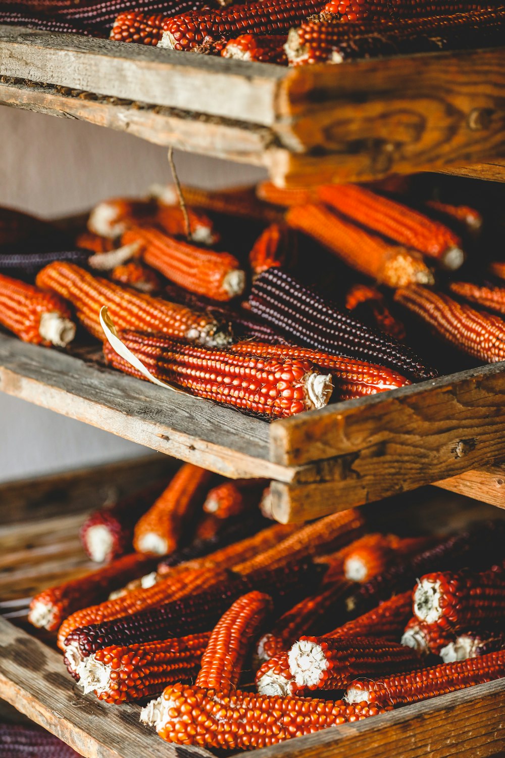 red chili on brown wooden table