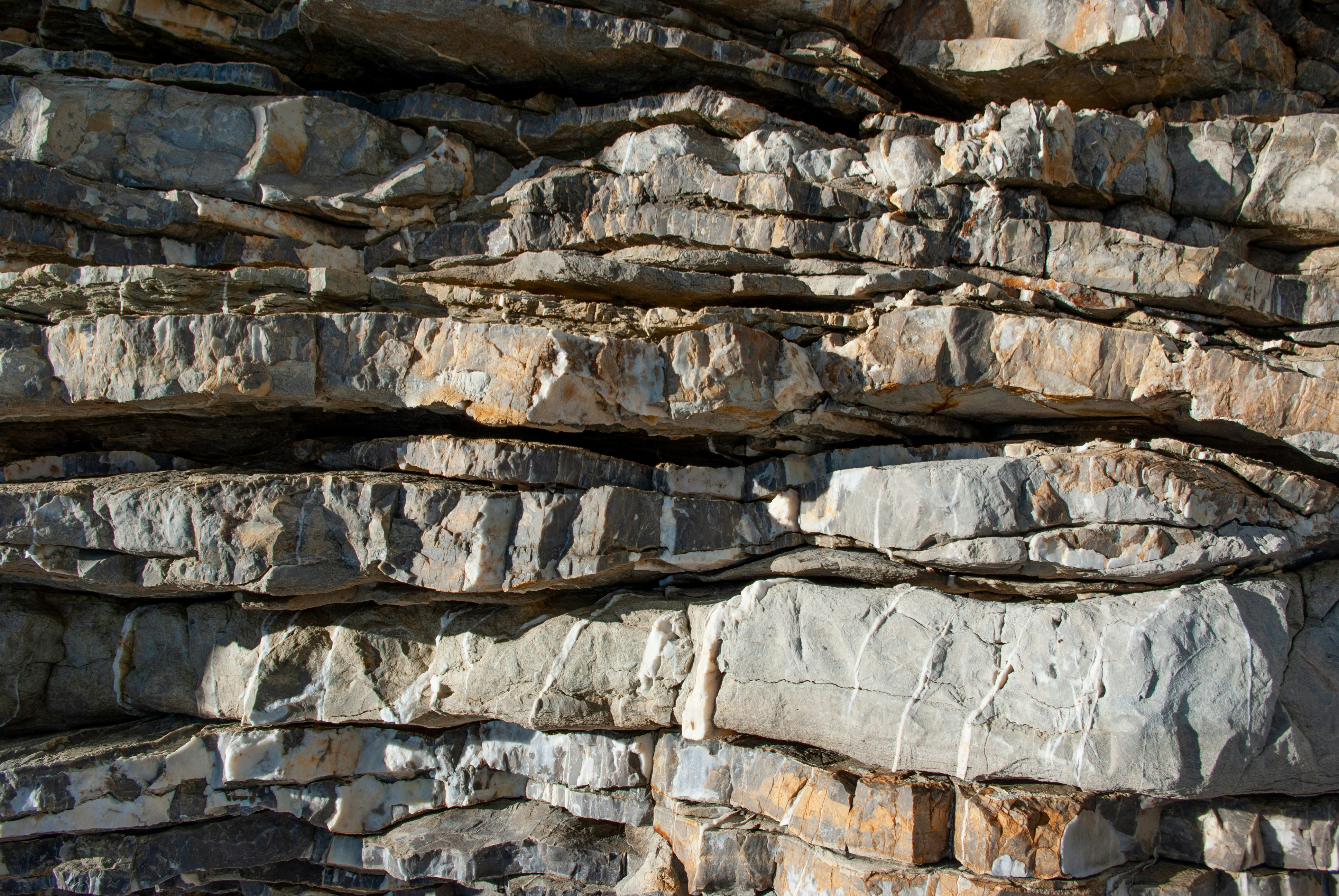 Photo by moonmoons_days