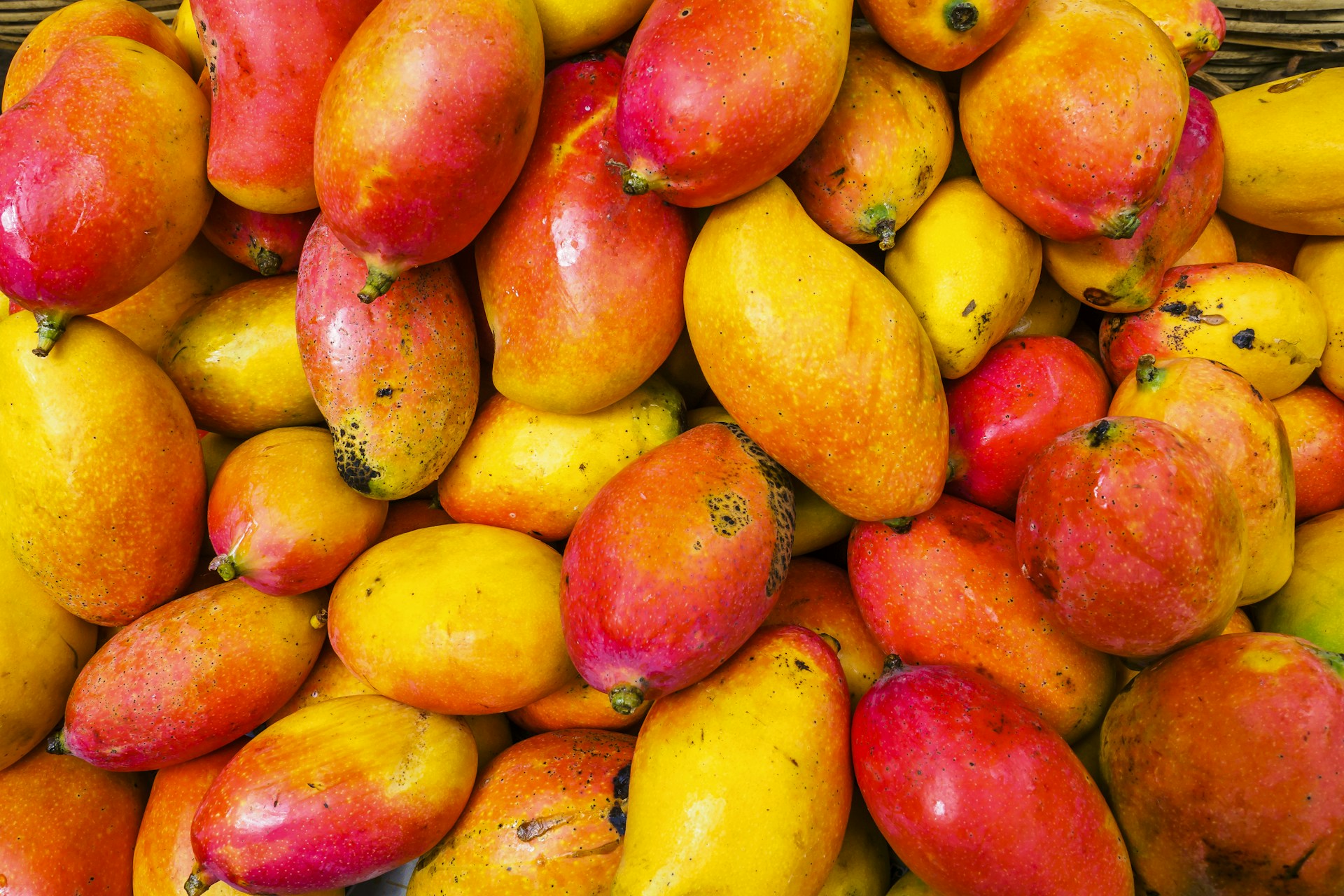 yellow and red fruit lot