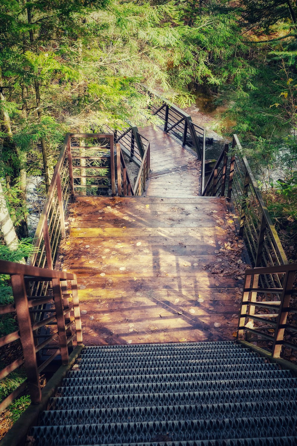 ponte de madeira marrom cercada por árvores verdes durante o dia