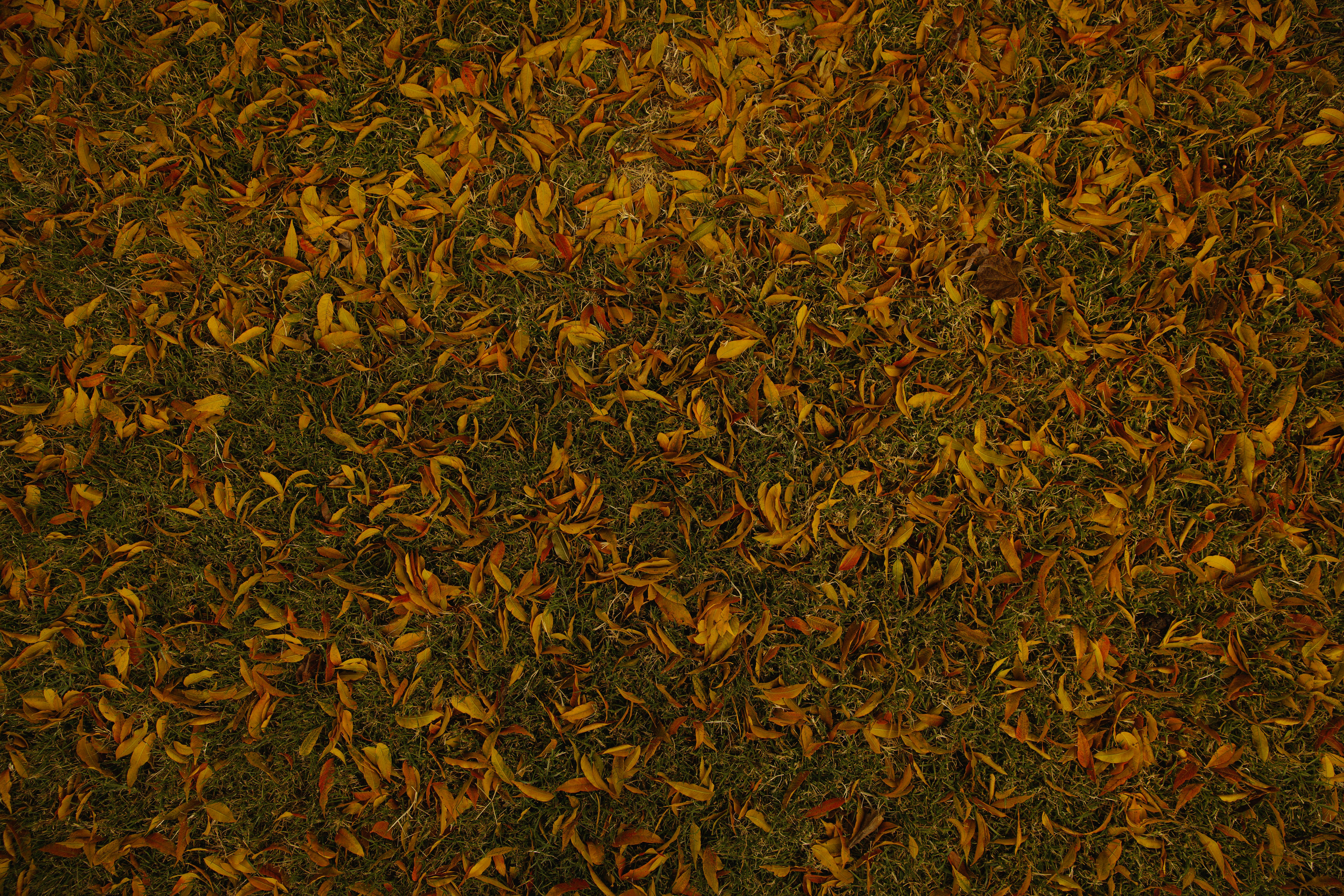 Photo by lukesouthern