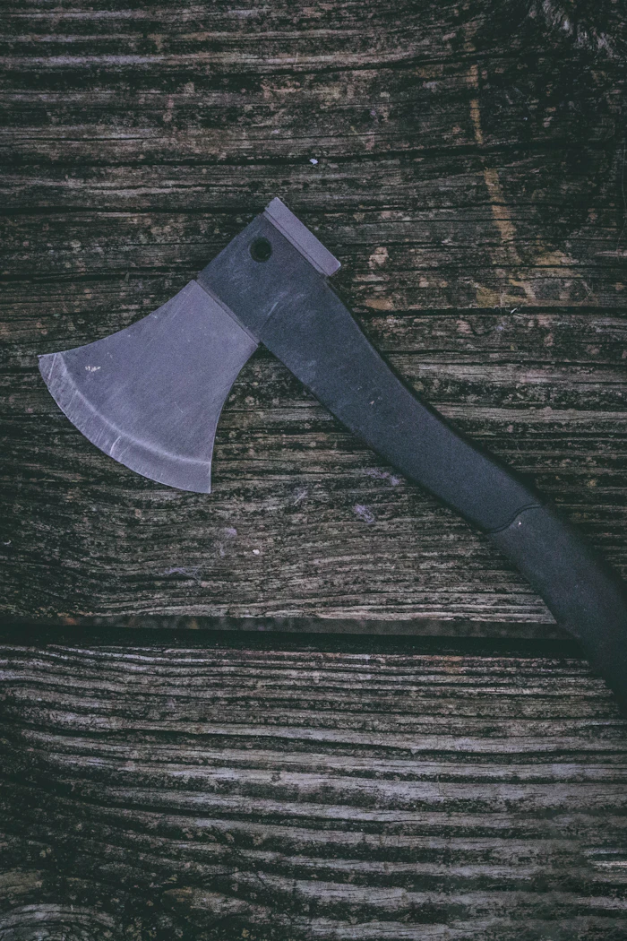 A forged steel hatchet resting on dark weathered wood