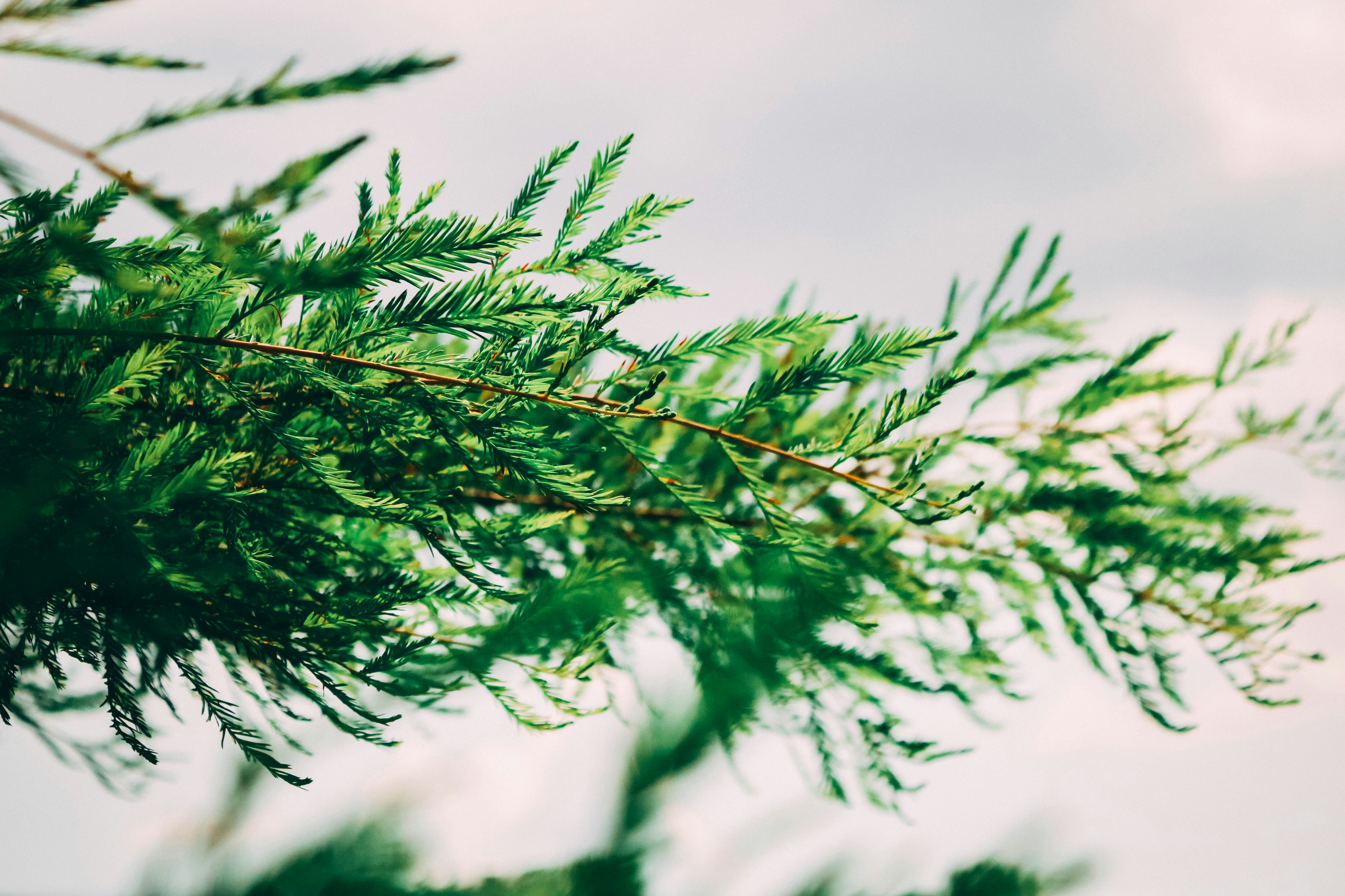 Photo by justinphoto