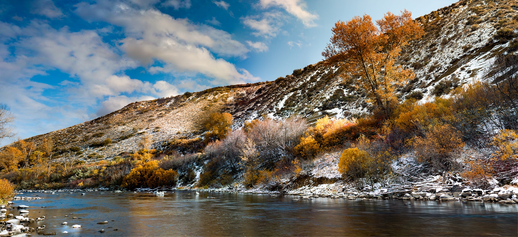 Discover Reno: Travel Guide & Local Insight