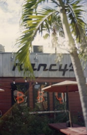 A rustic building with a metal roof and wooden siding is partially obscured by palm fronds. Bright neon letters 'BBQ' are visible in the windows, and a red patio umbrella and picnic table sit in the foreground. The scene evokes a tropical or coastal setting.