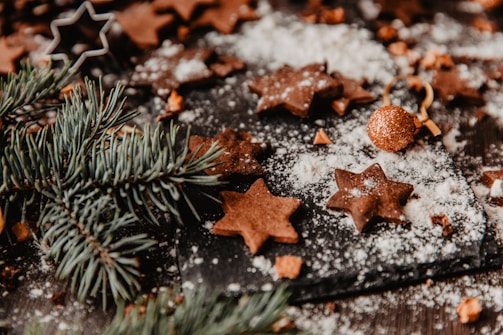 A rustic holiday setting featuring star-shaped chocolate cookies dusted with powdered sugar. The scene is adorned with fresh pine branches and a single golden ornament, creating a festive atmosphere. A star-shaped cookie cutter is also visible, hinting at a cookie-making activity.
