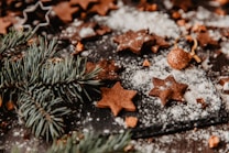 A rustic holiday setting featuring star-shaped chocolate cookies dusted with powdered sugar. The scene is adorned with fresh pine branches and a single golden ornament, creating a festive atmosphere. A star-shaped cookie cutter is also visible, hinting at a cookie-making activity.