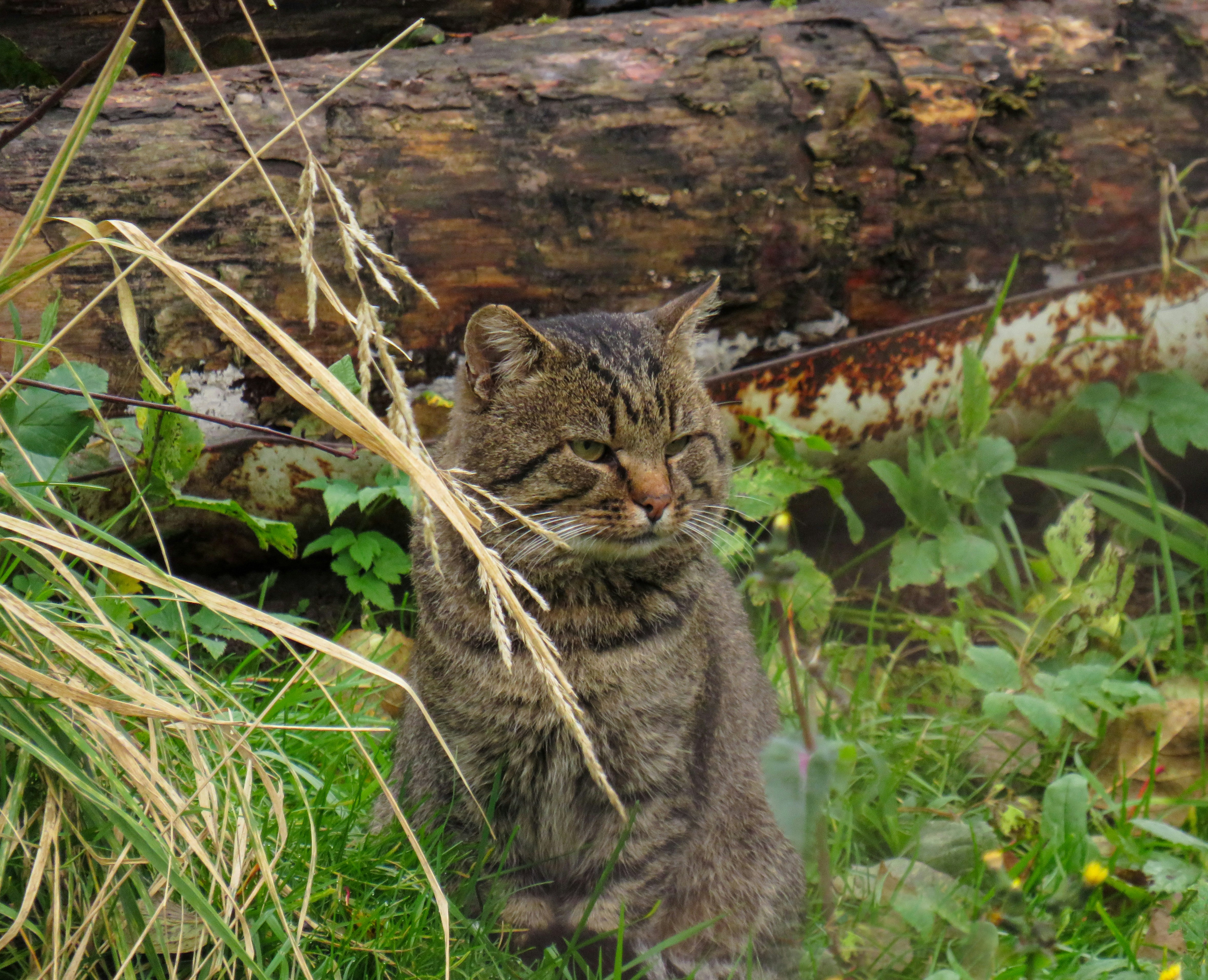 Cybersecurity Field Notes - Week of Mar. 1st, 2026