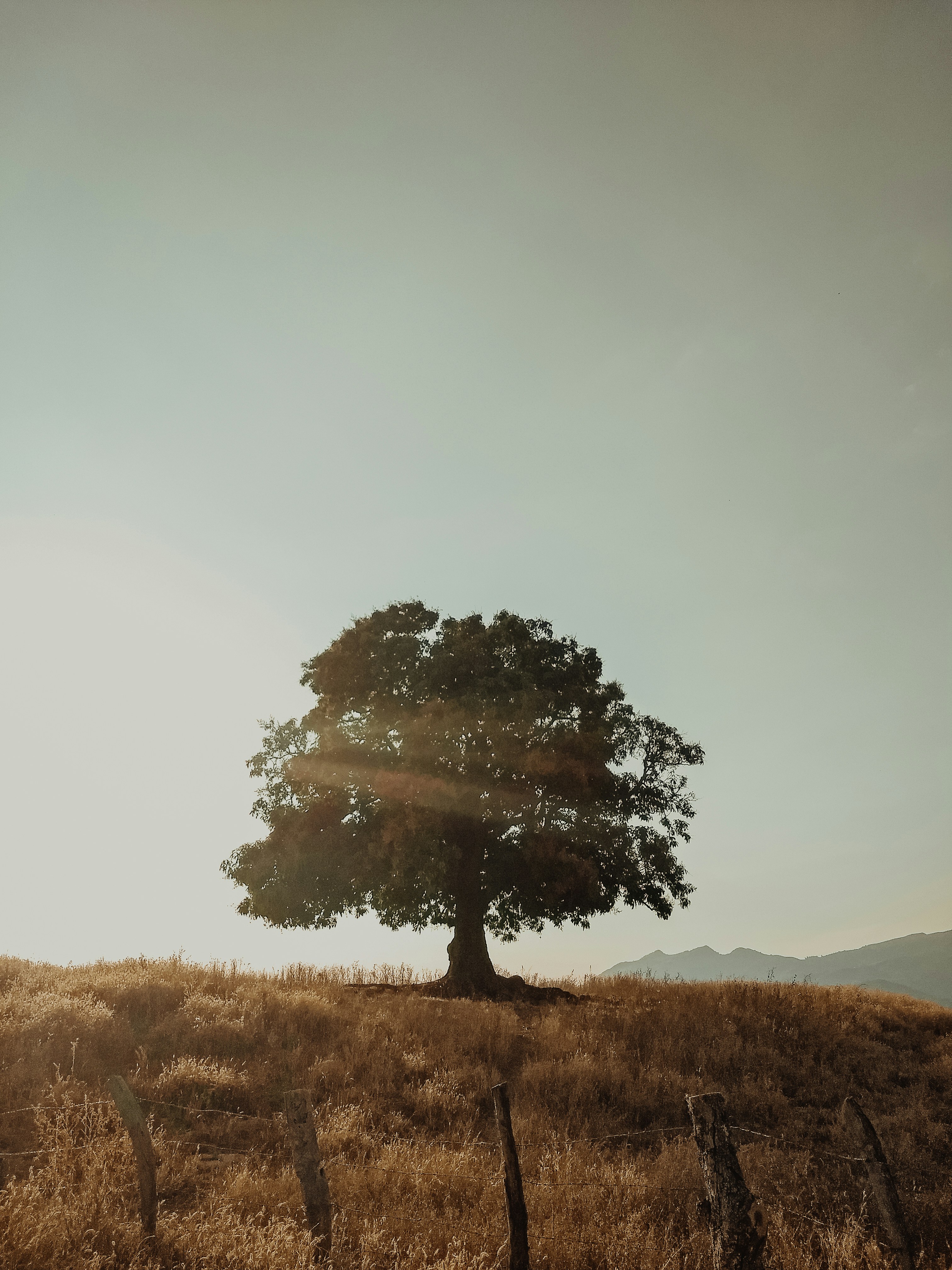 Photo by soygustavoalvarez