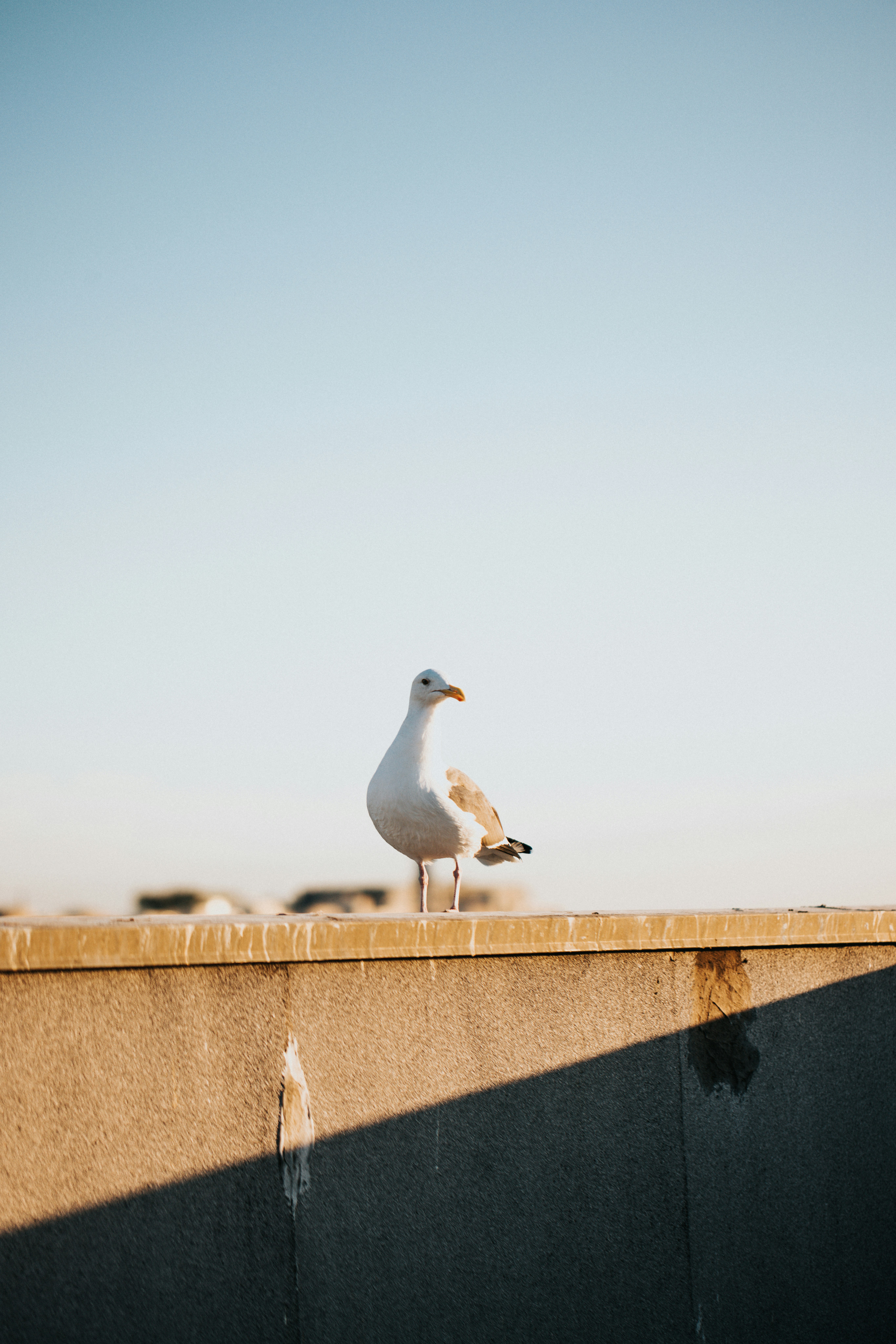 Photo by nate_dumlao