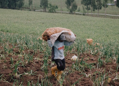 child in white long sleeve shirt and black pants walking on brown dried leaves during daytime
