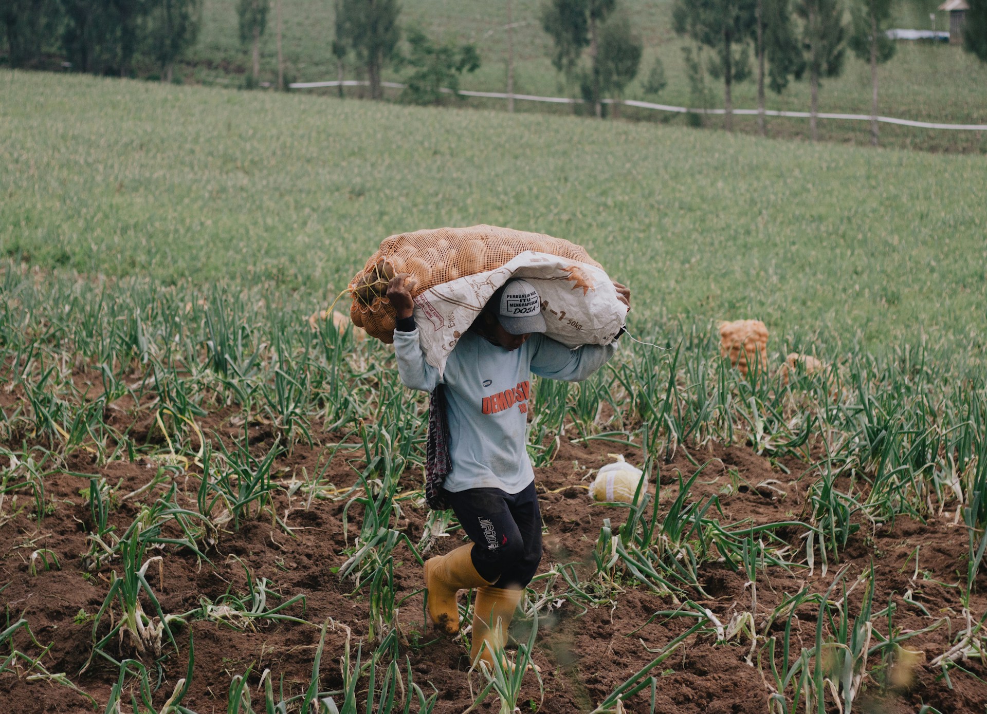 child in white long sleeve shirt and black pants walking on brown dried leaves during daytime
