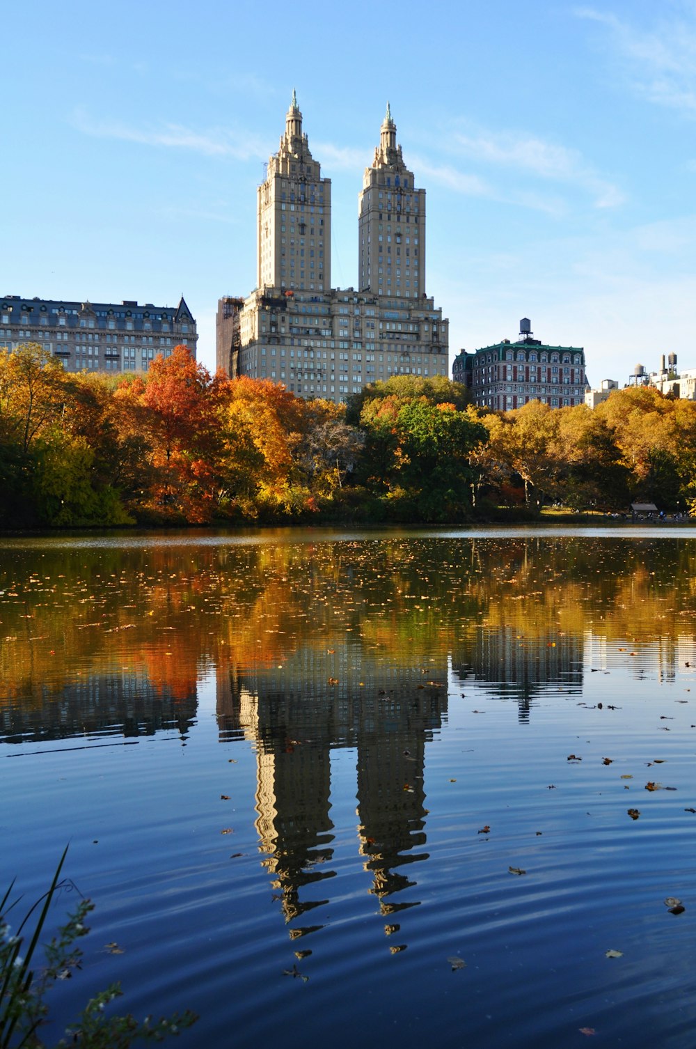 body of water near green trees and high rise buildings during daytime