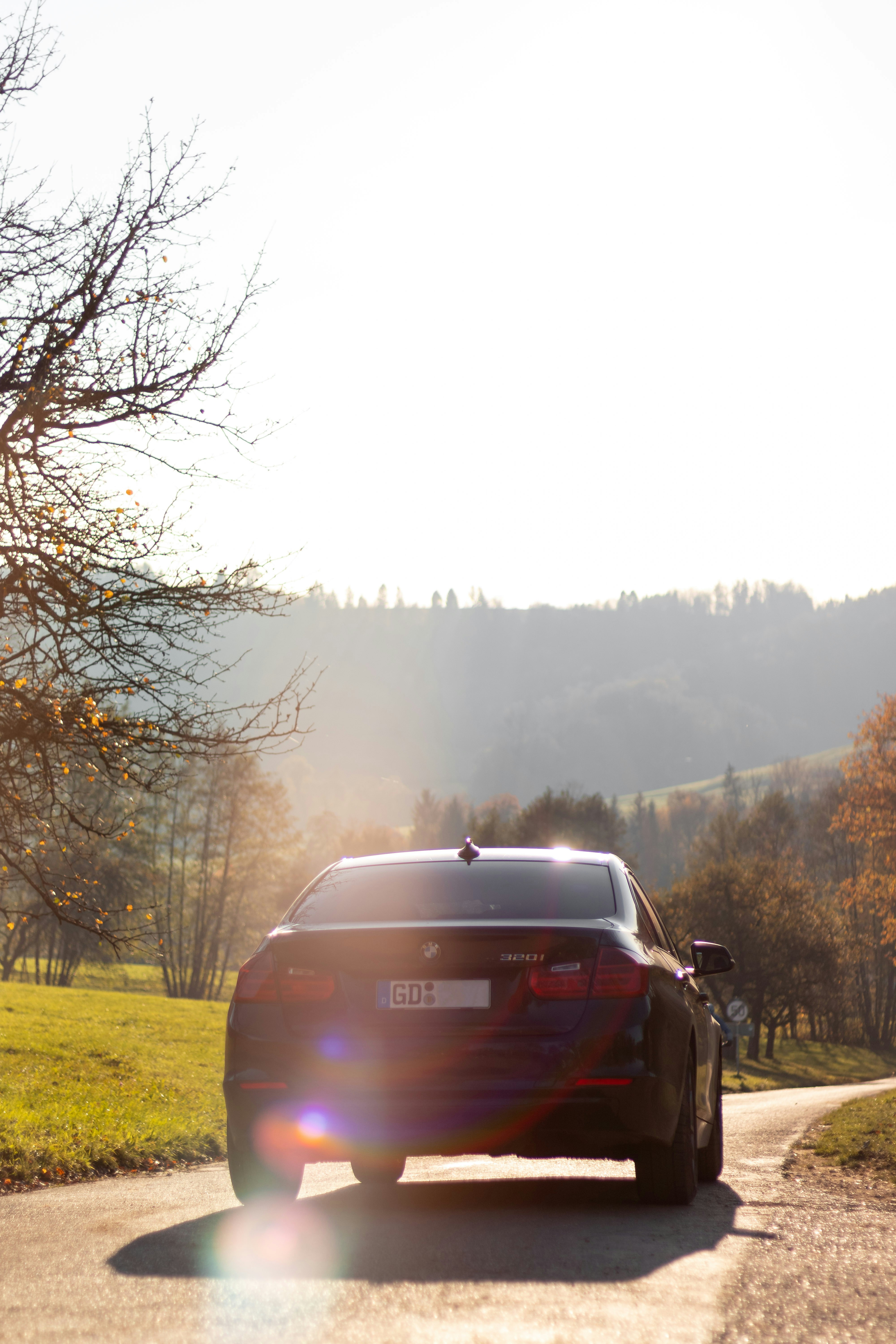 gray computer monitor