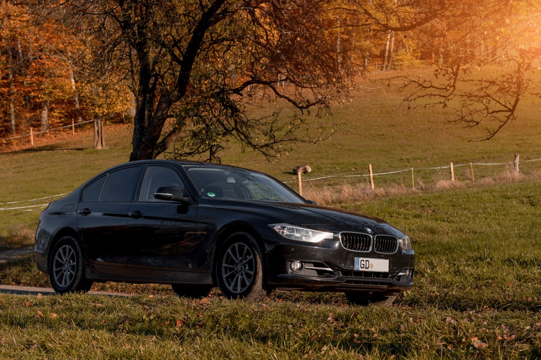 black bmw m 3 coupe on green grass field during daytime