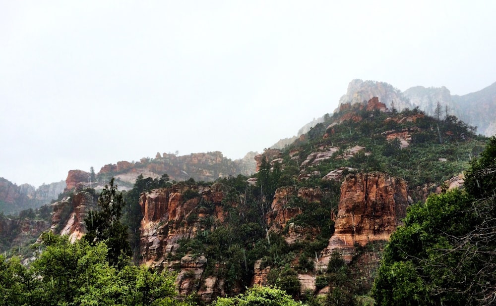 brown rocky mountain with green trees during daytime