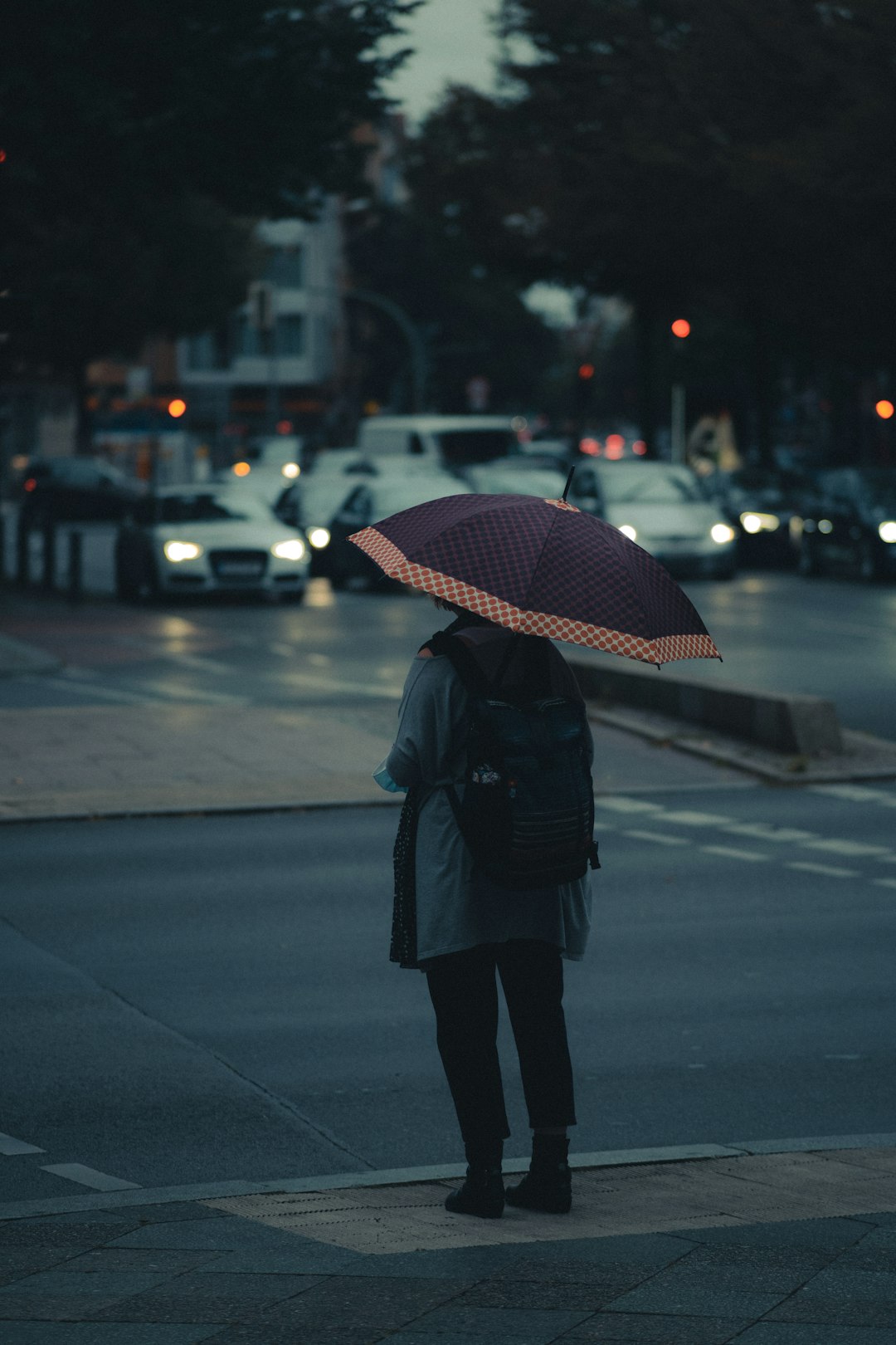 woman in black coat holding umbrella standing on sidewalk during daytime