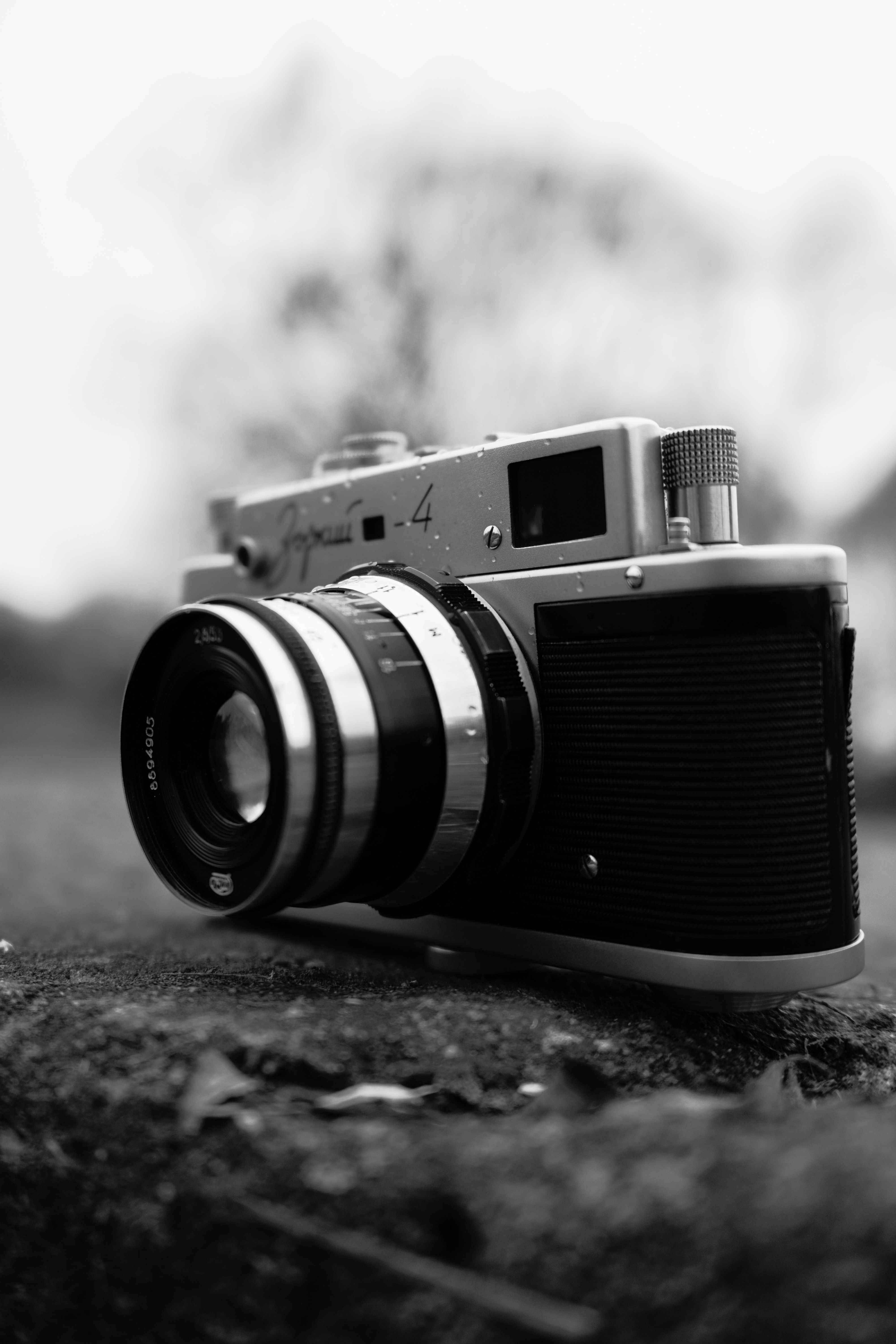 Photo by ivan_bolshakov