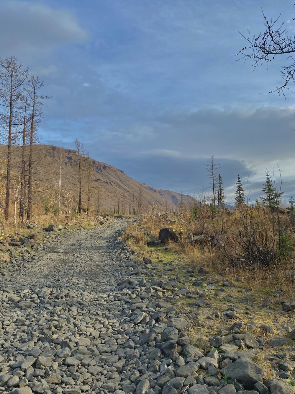 brown mountain under white clouds during daytime