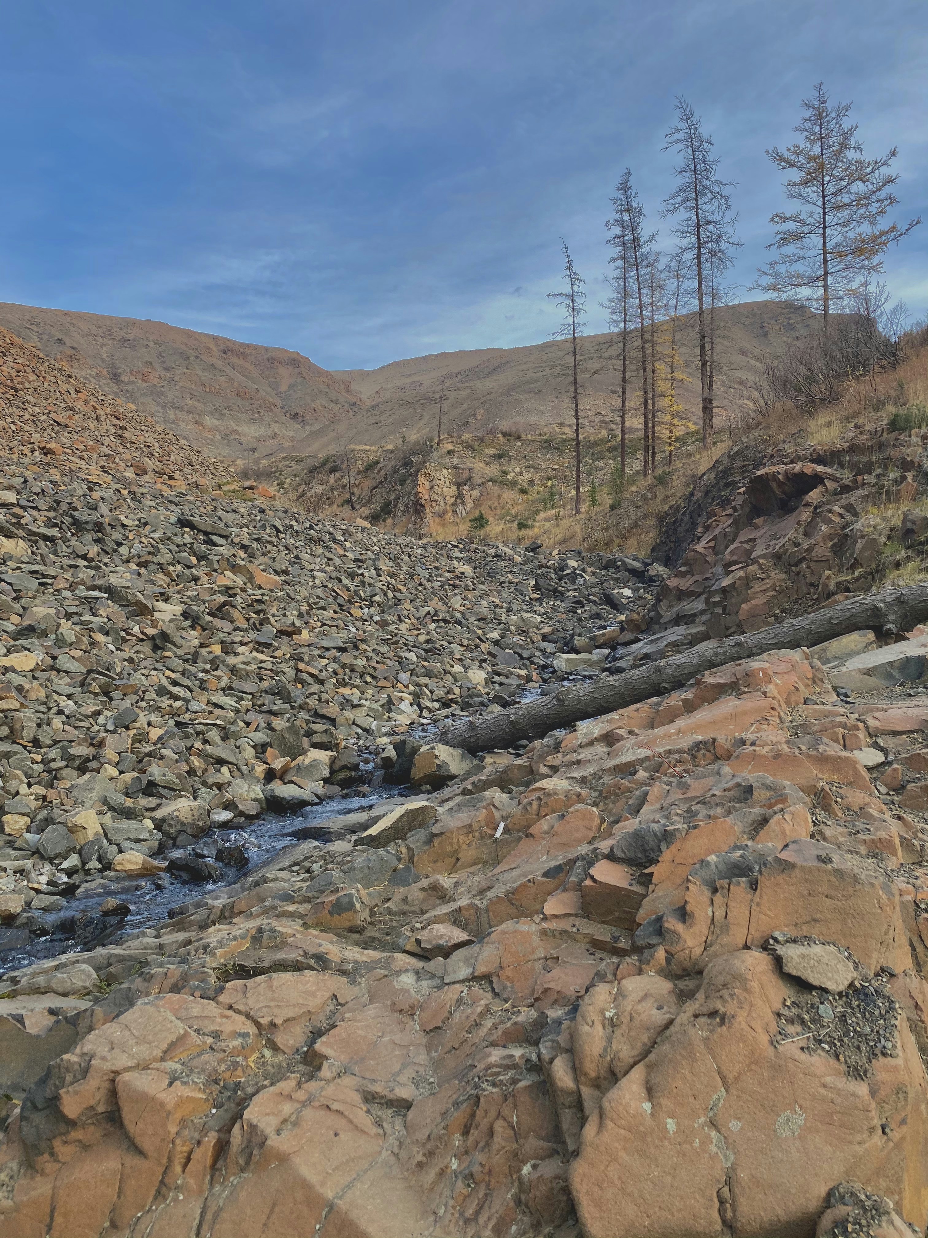 Photo by dasha_shchukina